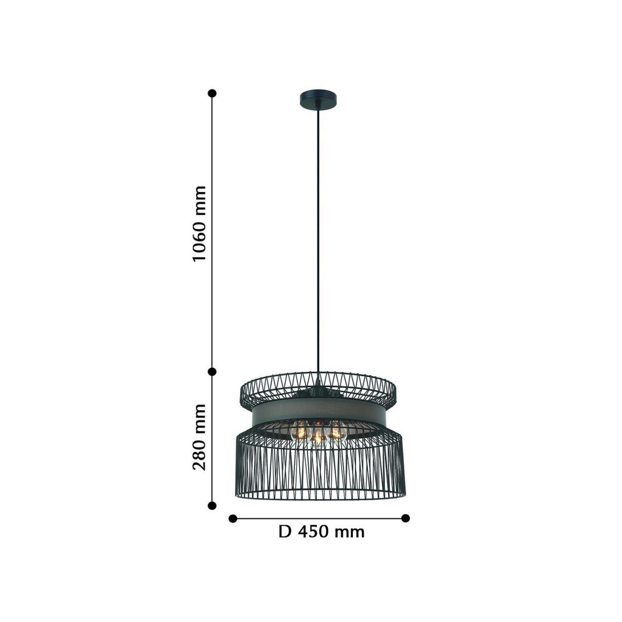 Дополнительная картинка Подвесная люстра Favourite Korb 2363-2P