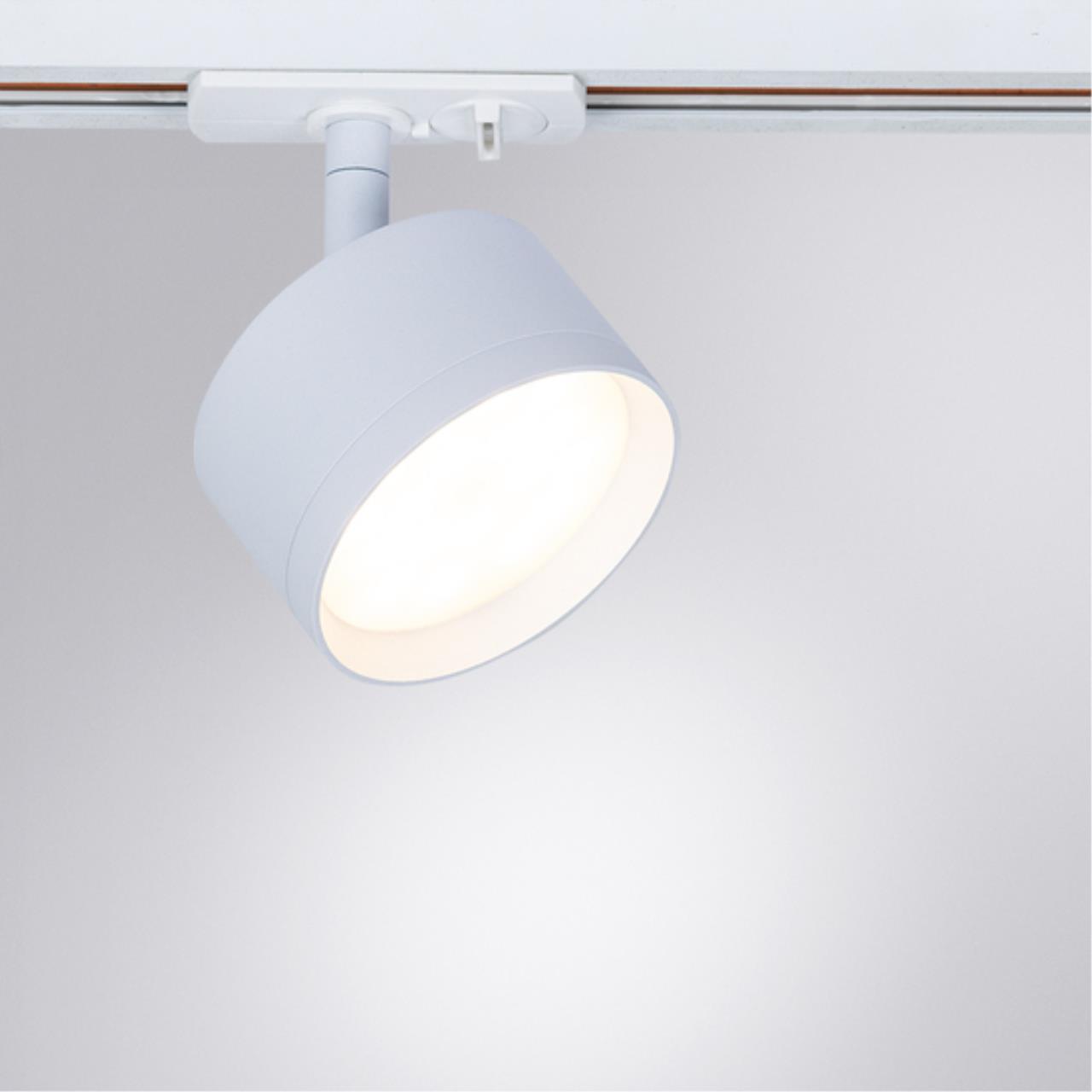 Дополнительная картинка Трековый светильник Arte Lamp INTERCRUS A5547PL-1WH