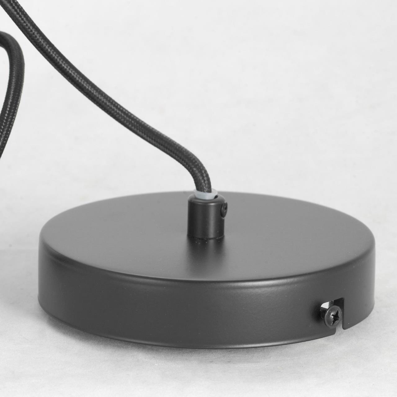 Дополнительная картинка Подвесной светильник Lussole Lgo Strawberry LSP-8211