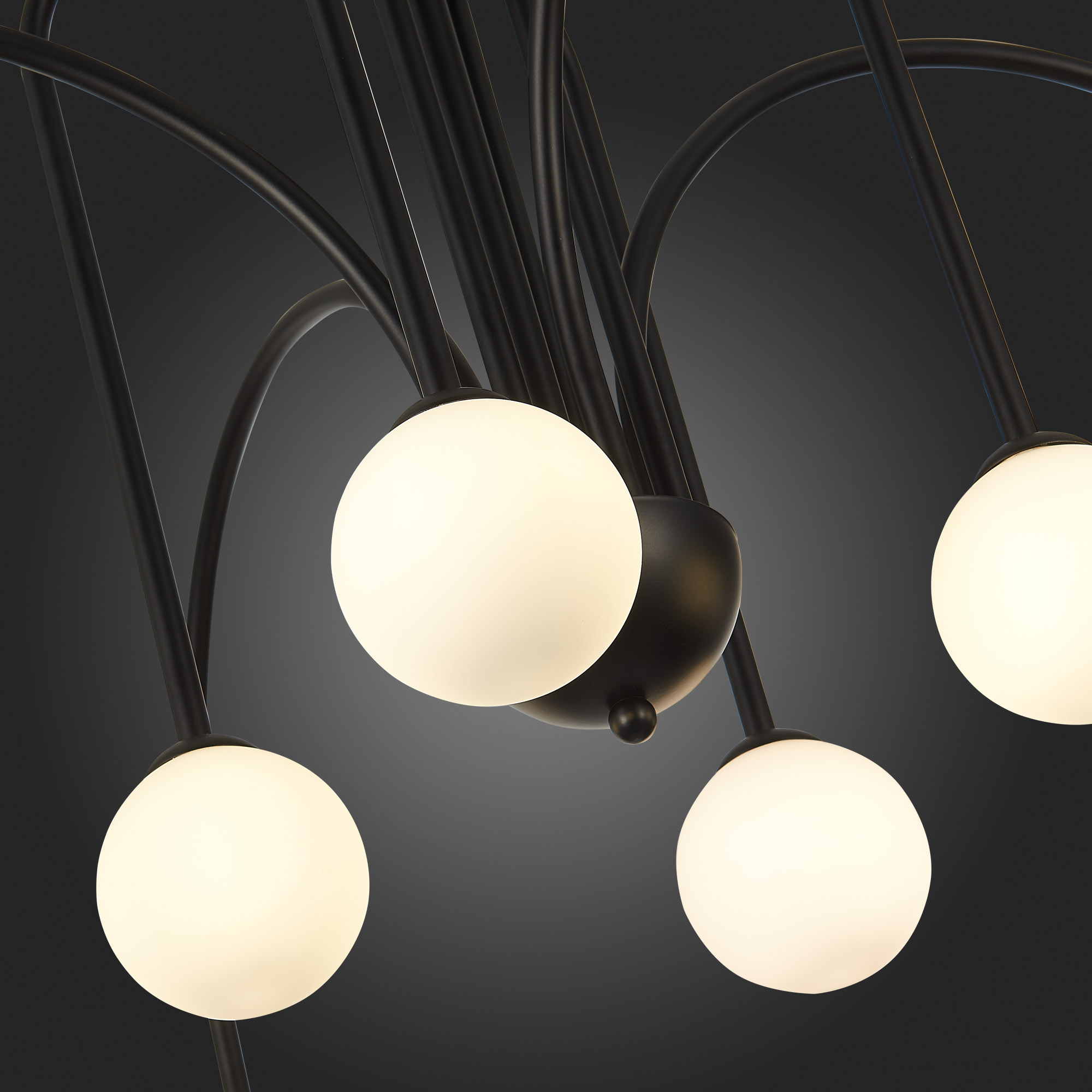 Картинка Потолочная люстра ST Luce Jineto SL1204.402.08