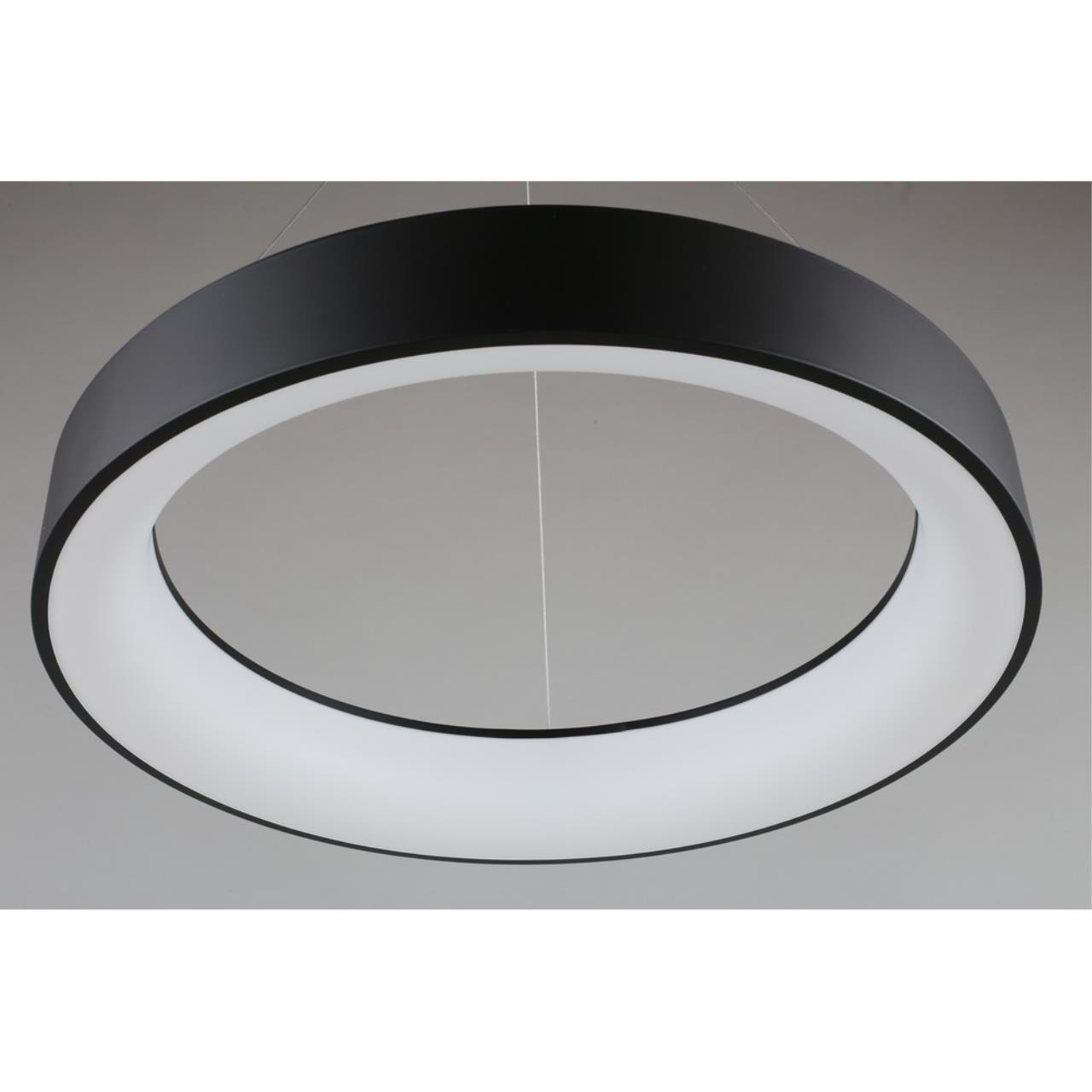 Картинка APL.052.13.60 Светильник подвесной светодиодный Aployt Michell