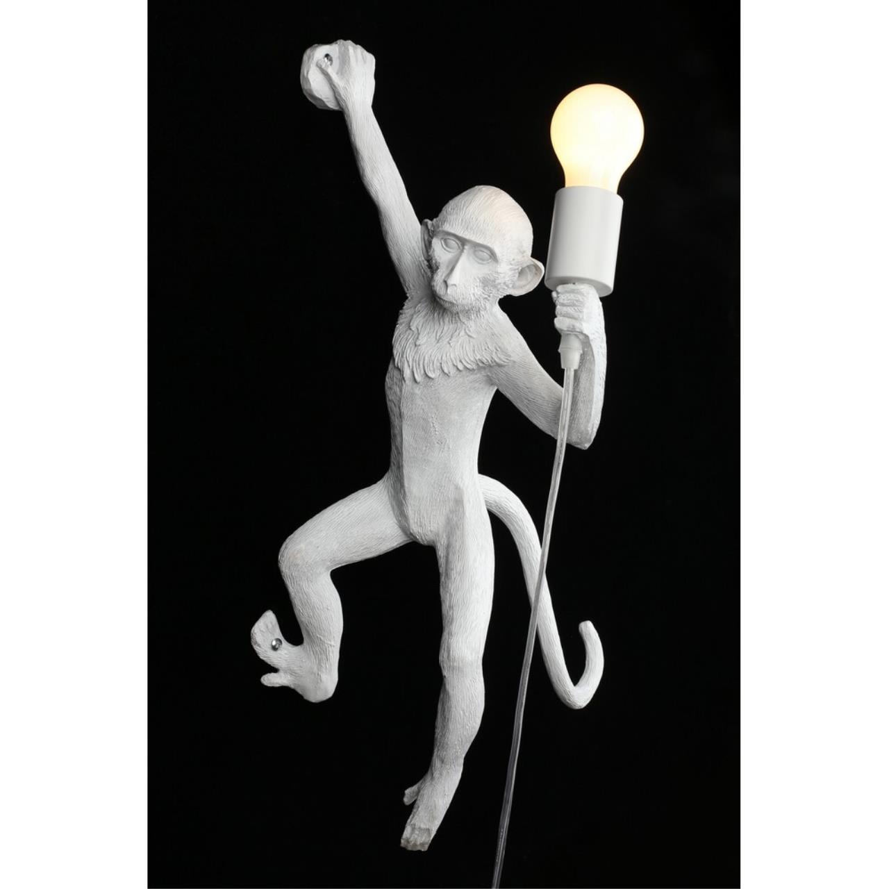 Картинка APL.309.11.01 Бра настенное Aployt Magali