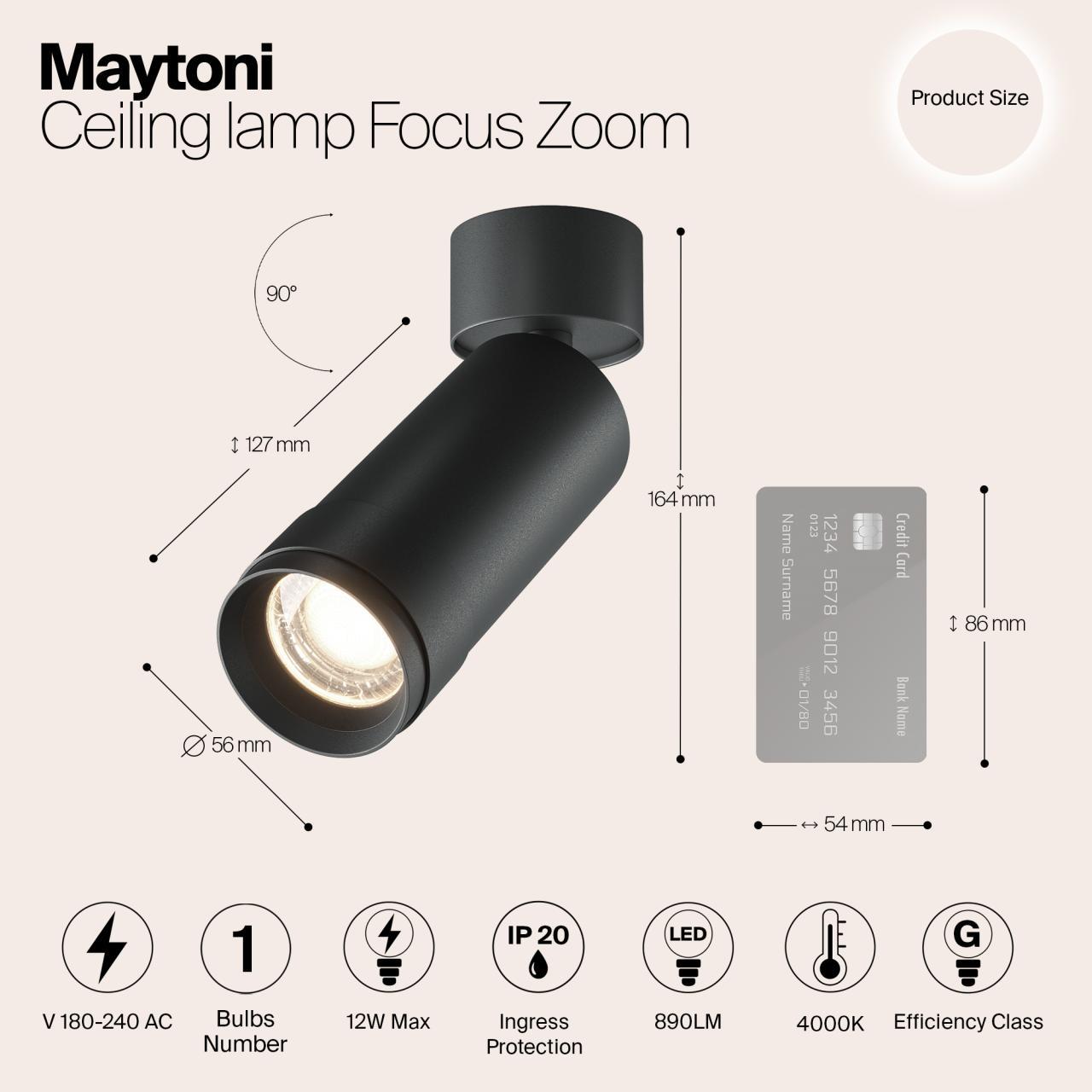 Дополнительная картинка Потолочный светильник Technical C055CL-L12W4K-Z-B