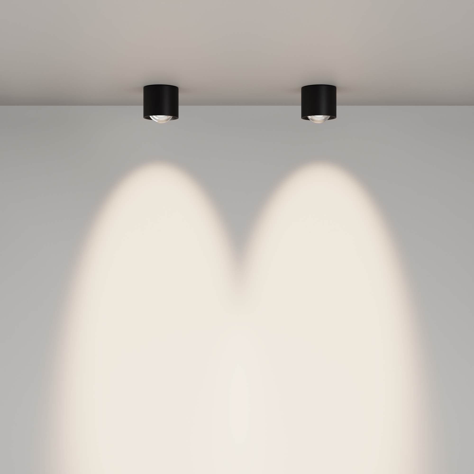 Картинка Потолочный светильник Technical C217CL-15W4K-B