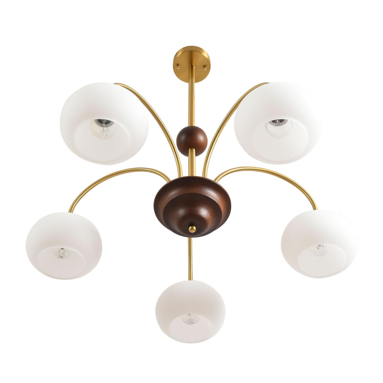 Картинка 8323/5C Lumion Люстра LARINA