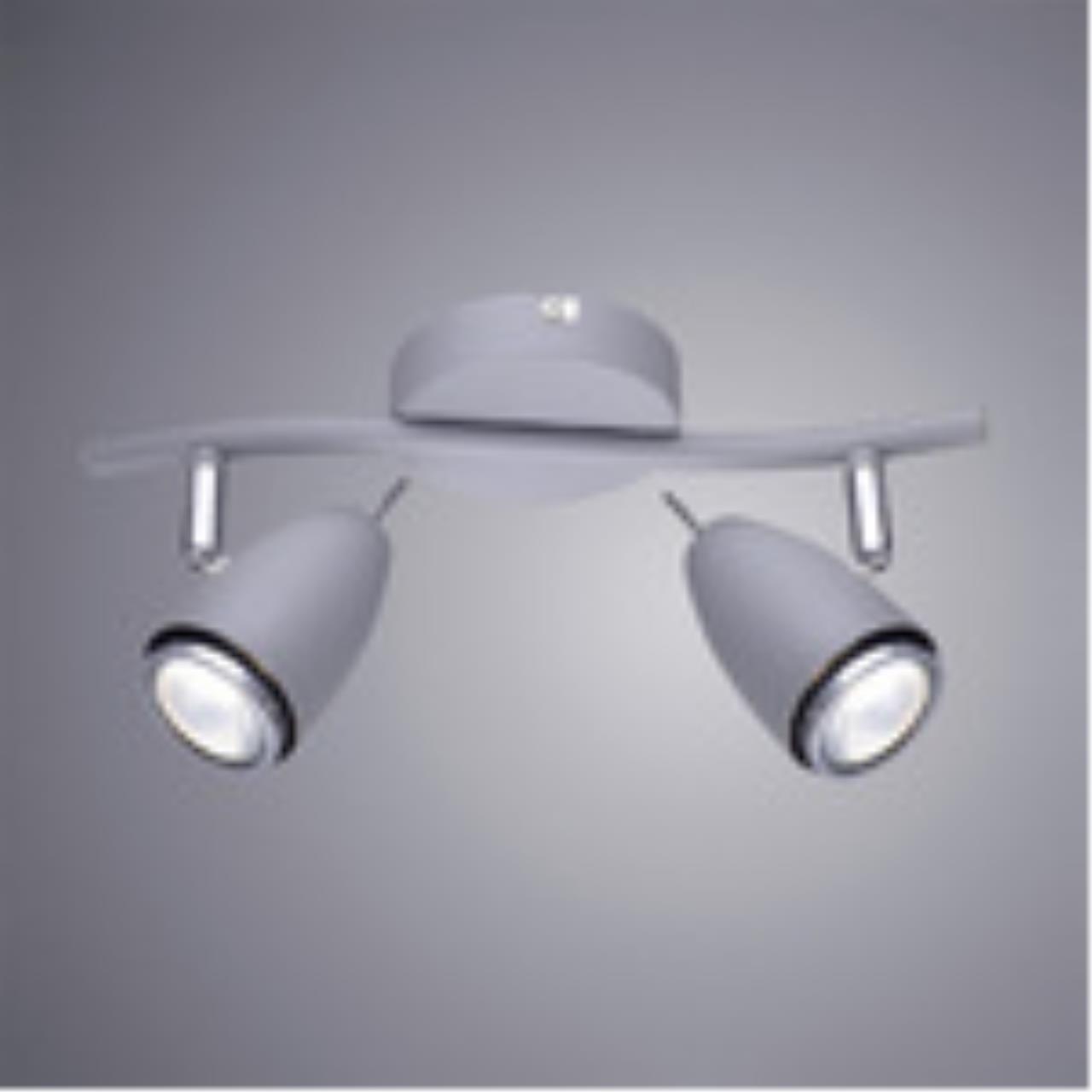 Дополнительная картинка Настенно-потолочный светильник Arte Lamp Regista A1966AP-2GY