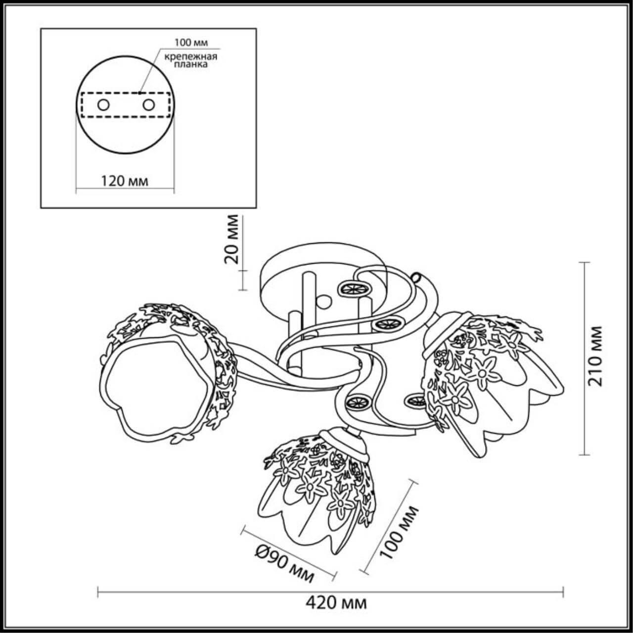 Картинка Потолочная люстра Lumion Florana 3002/3C