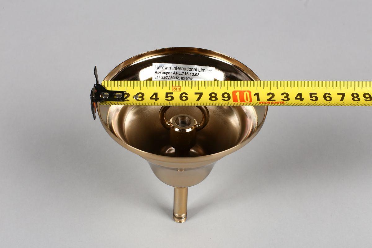 Картинка Подвесная люстра Aployt Patricia APL.716.13.08