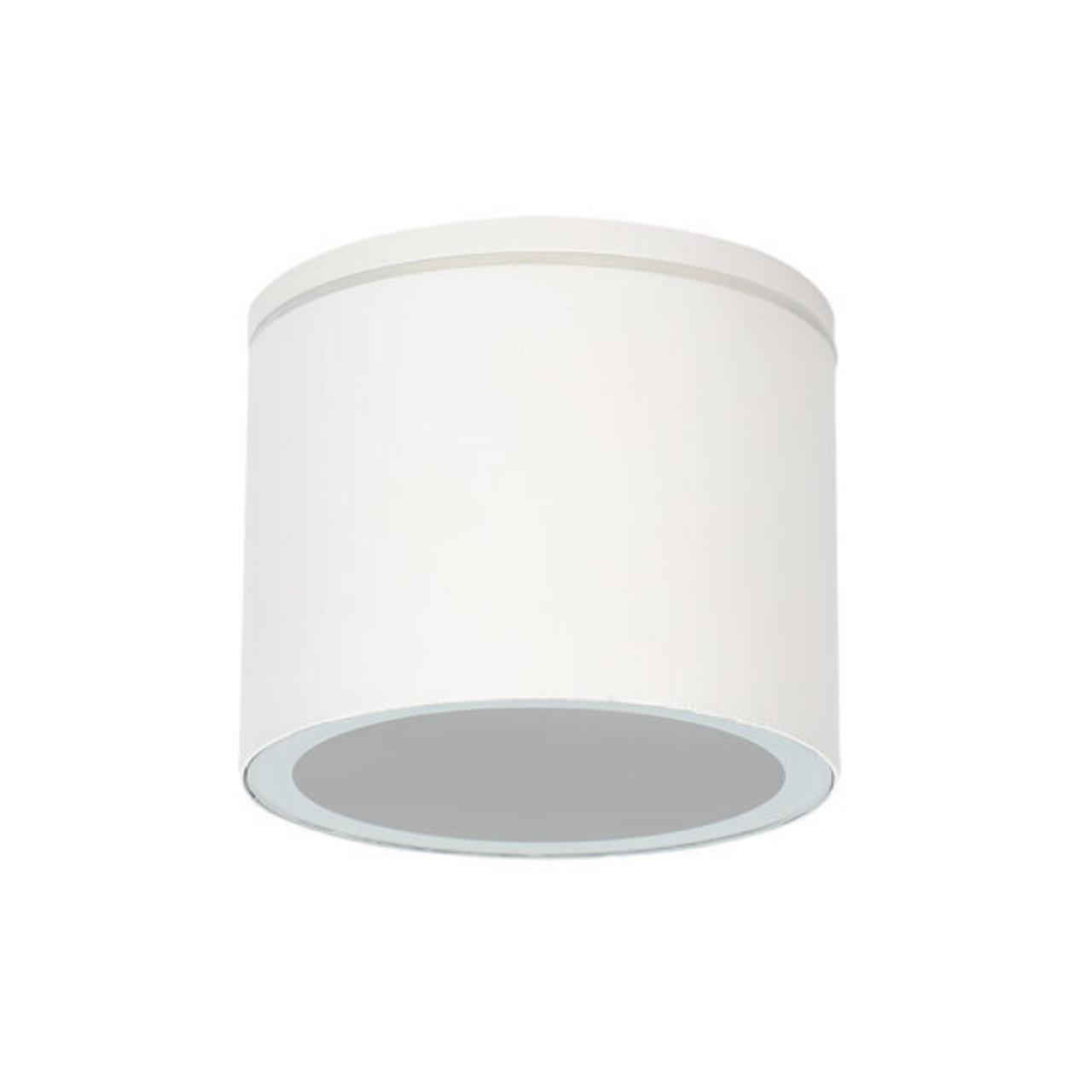 Картинка Уличный потолочный светильник Arte Lamp PIAUTOS A1913PF-1WH