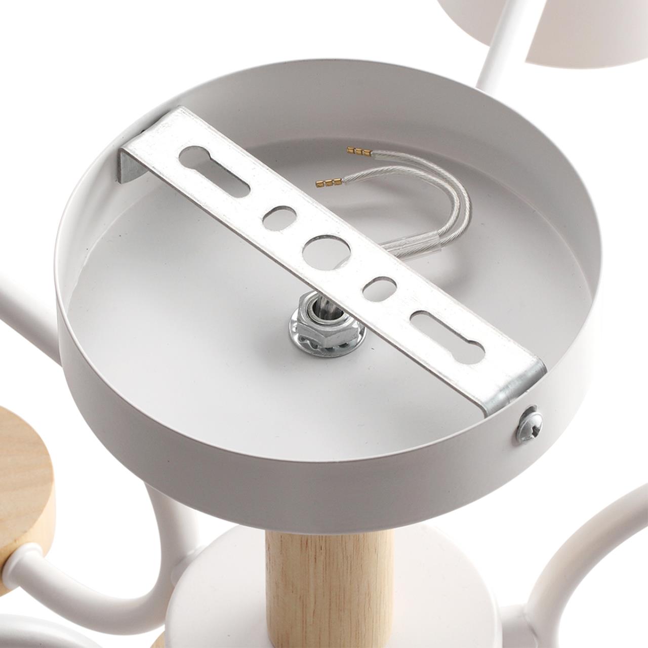 Дополнительная картинка 8231/6C Lumion Люстра потолочная RONDO