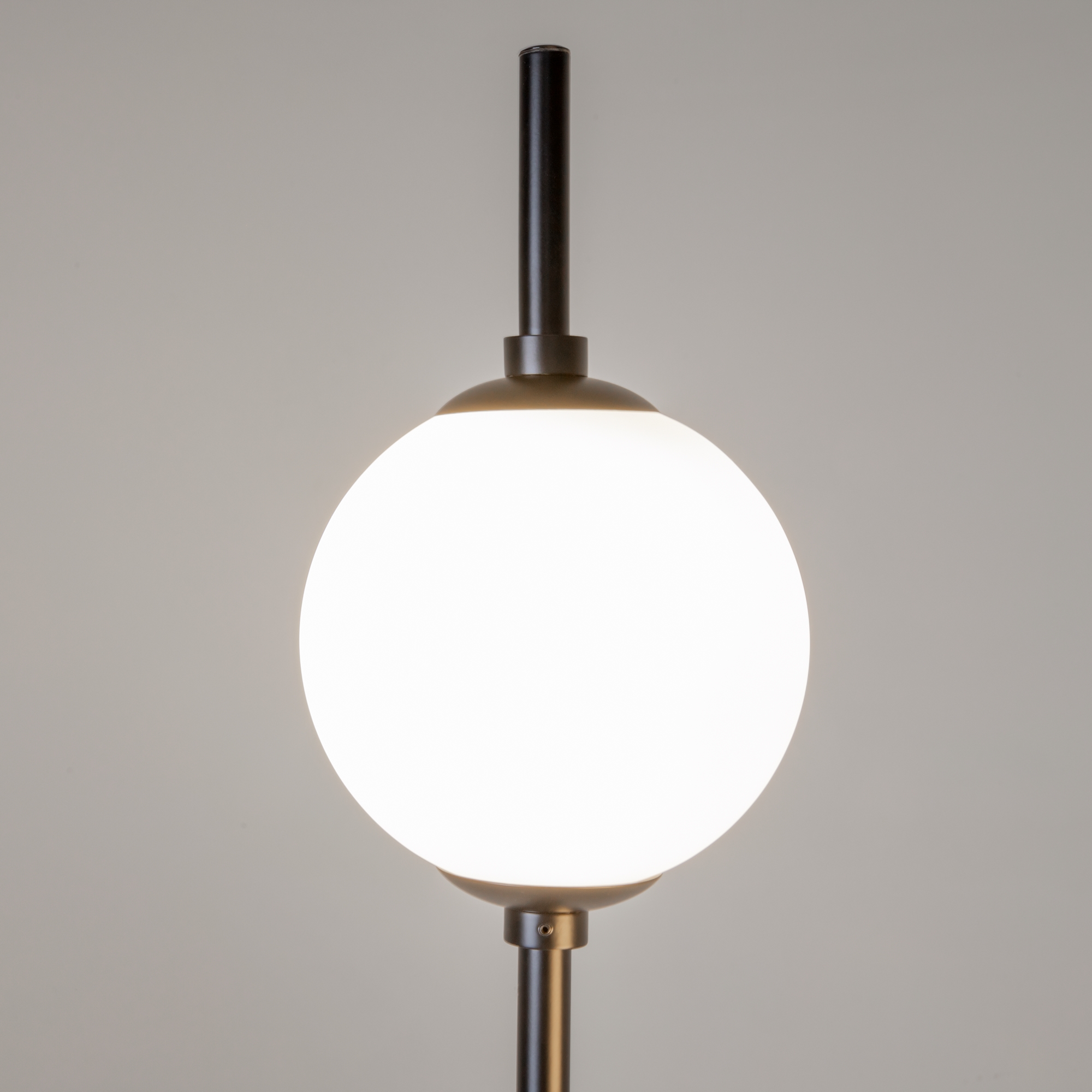 Дополнительная картинка Напольный светильник (торшер) Maytoni Z020FL-L12BK