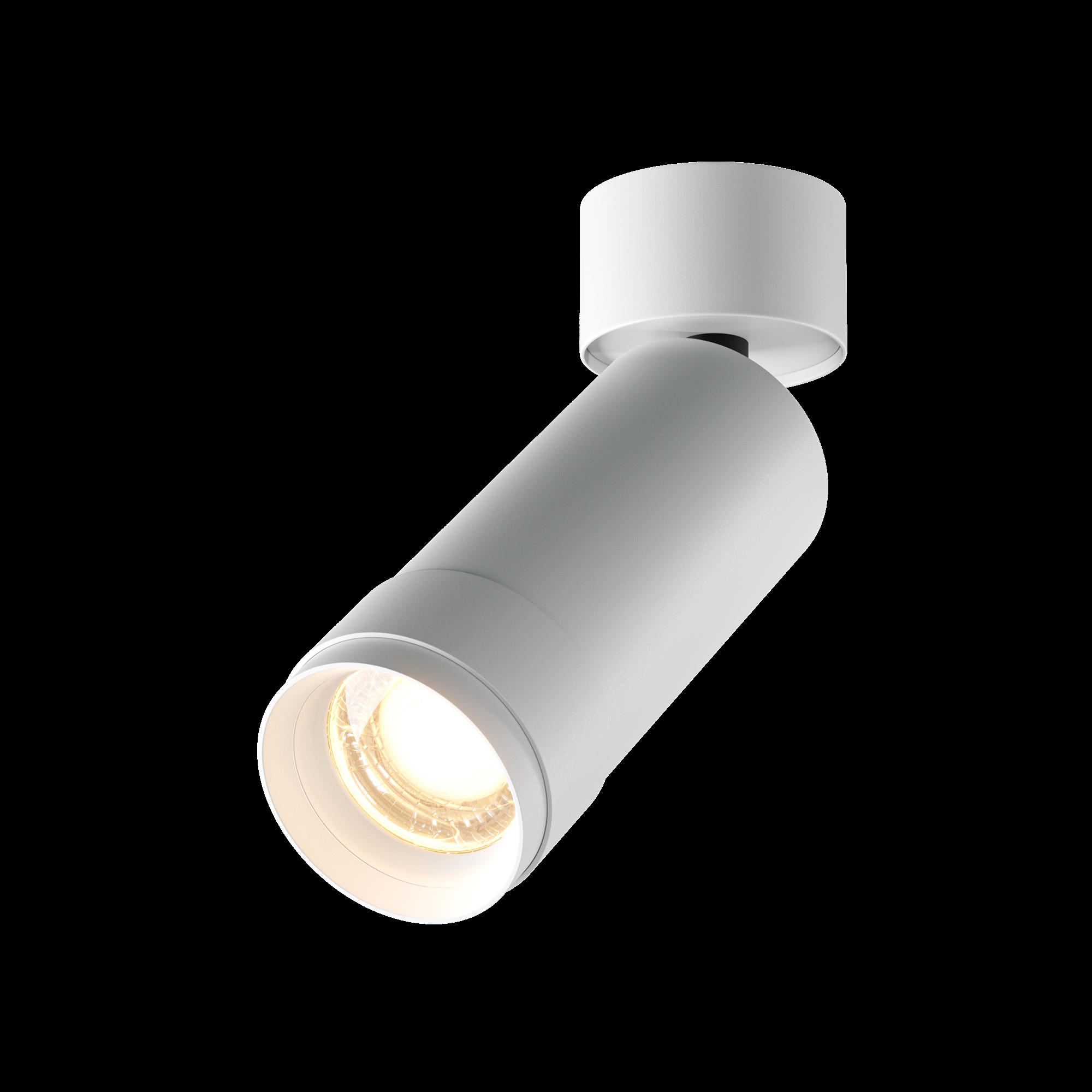 Дополнительная картинка Потолочный светильник Technical C055CL-L12W3K-Z-W