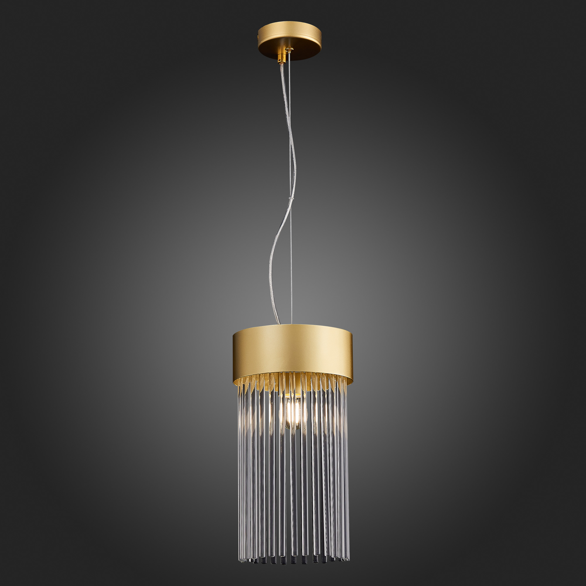 Картинка Подвесной светильник ST Luce Contatto SL1225.203.01