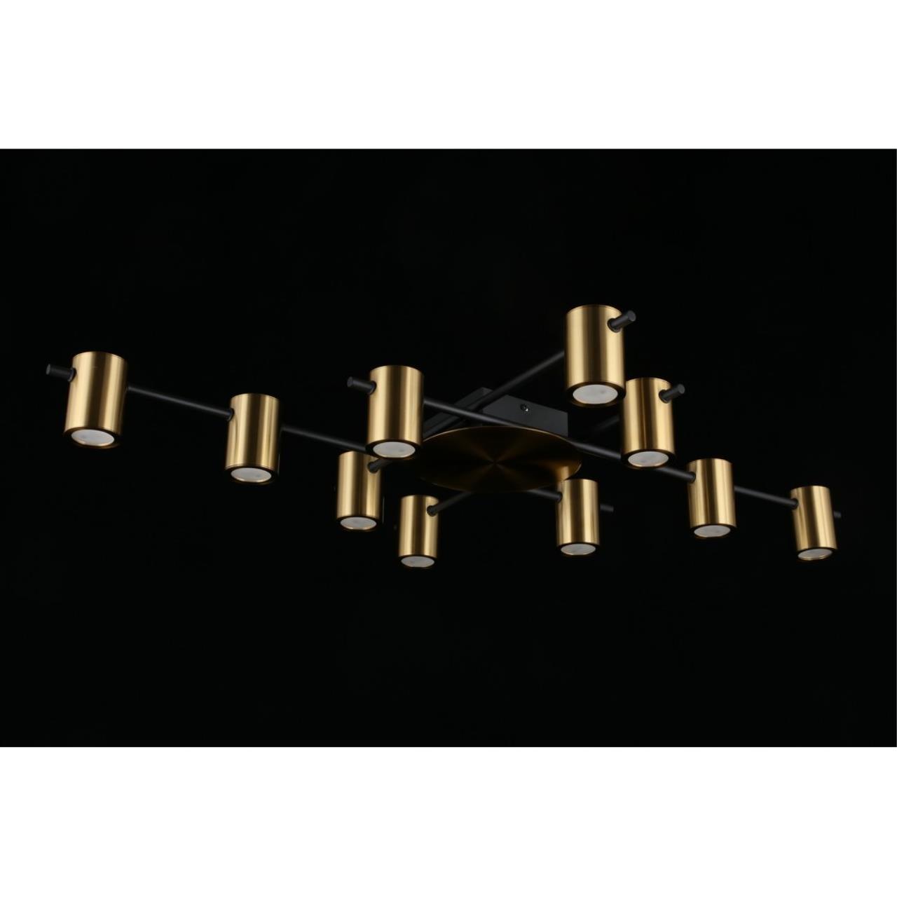 Картинка Потолочная люстра Aployt Elwisia APL.633.07.10