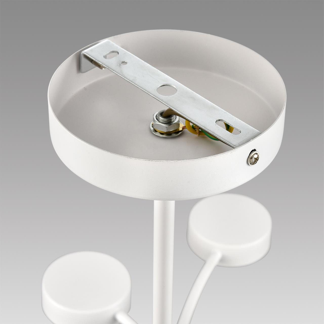 Дополнительная картинка 8265/12 Lumion Люстра TORINA