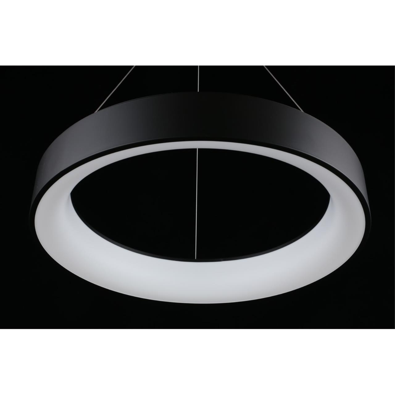 Картинка APL.052.13.60 Светильник подвесной светодиодный Aployt Michell