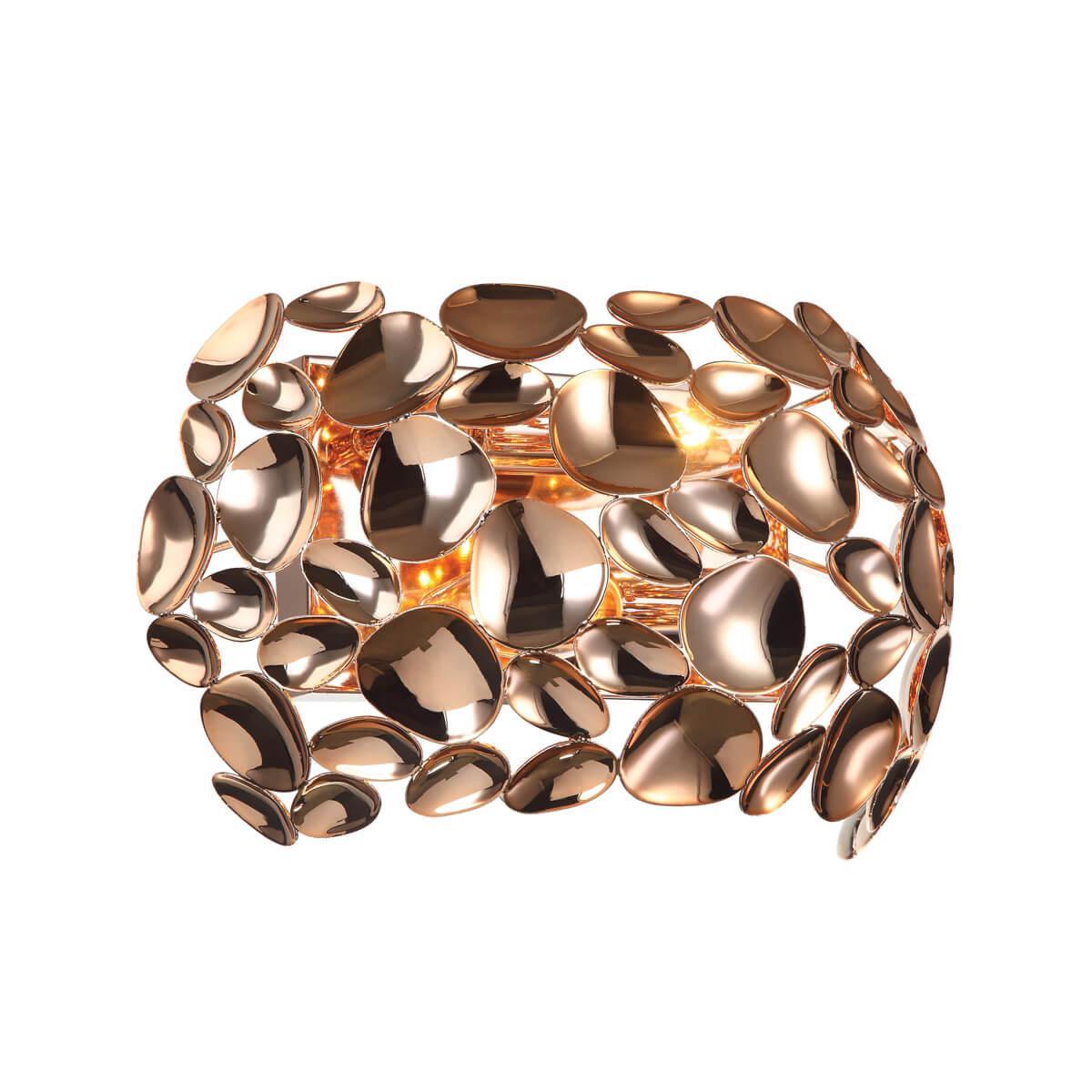 Картинка Настенный светильник Favourite Gittus 2013-2W