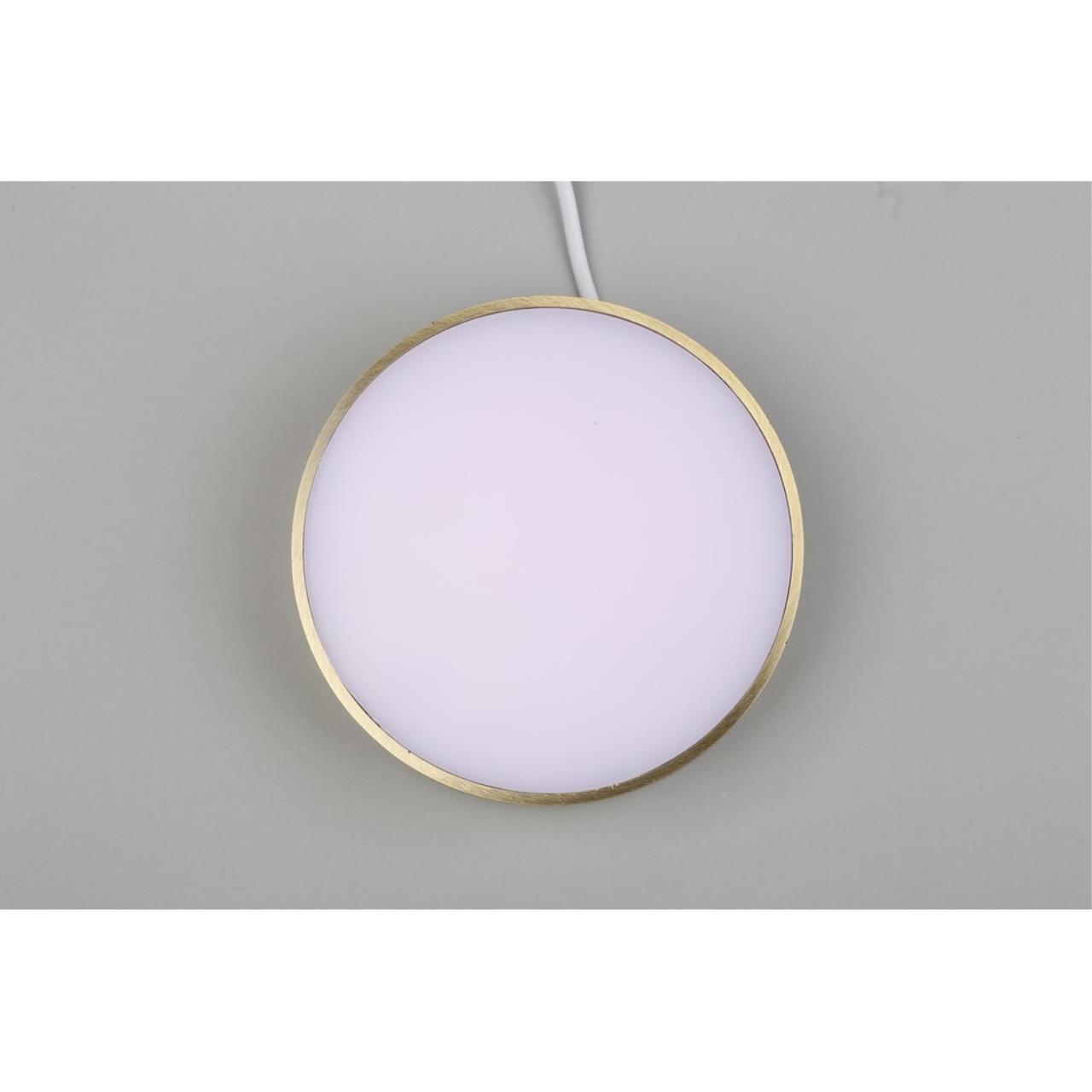 Картинка Потолочный светодиодный светильник Aployt Evon APL.0114.29.18