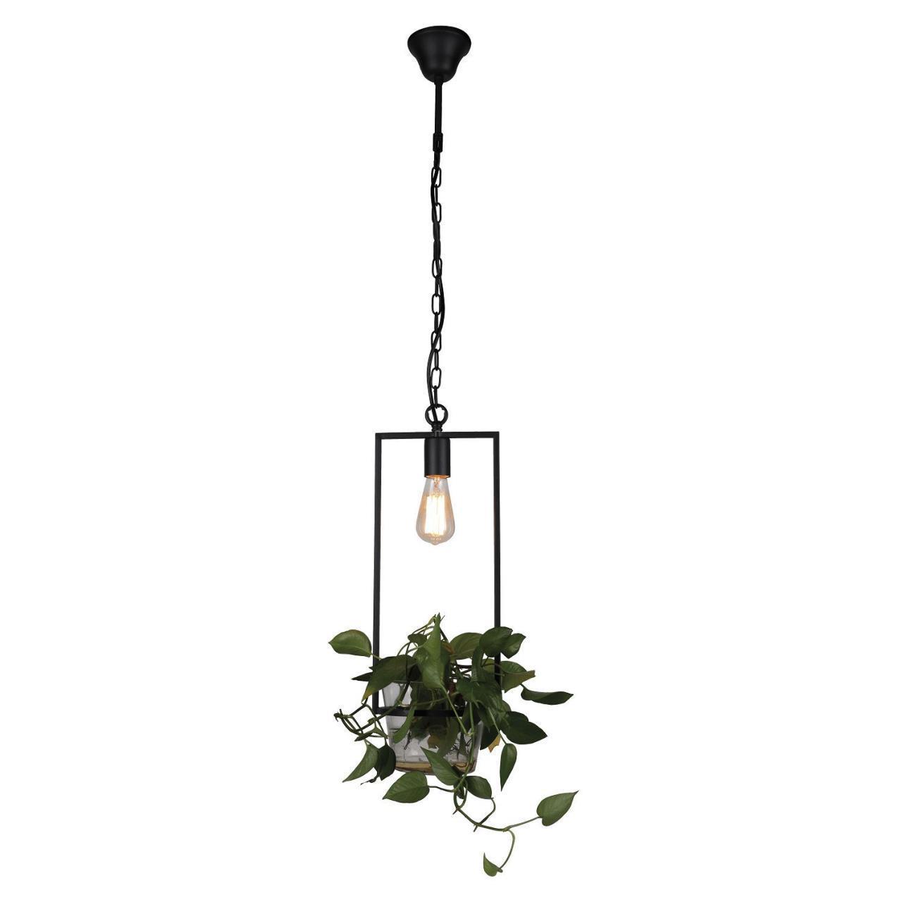 Картинка Подвесной светильник Favourite Situla 1975-1P