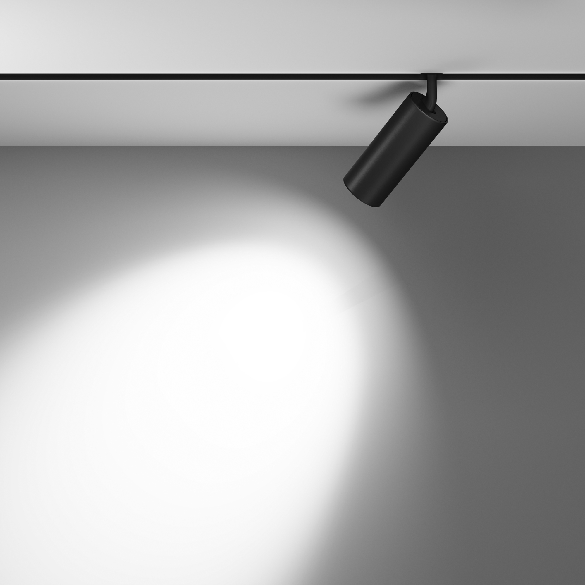 Картинка Трековый светильник Technical TR032-2-20W4K-M-B