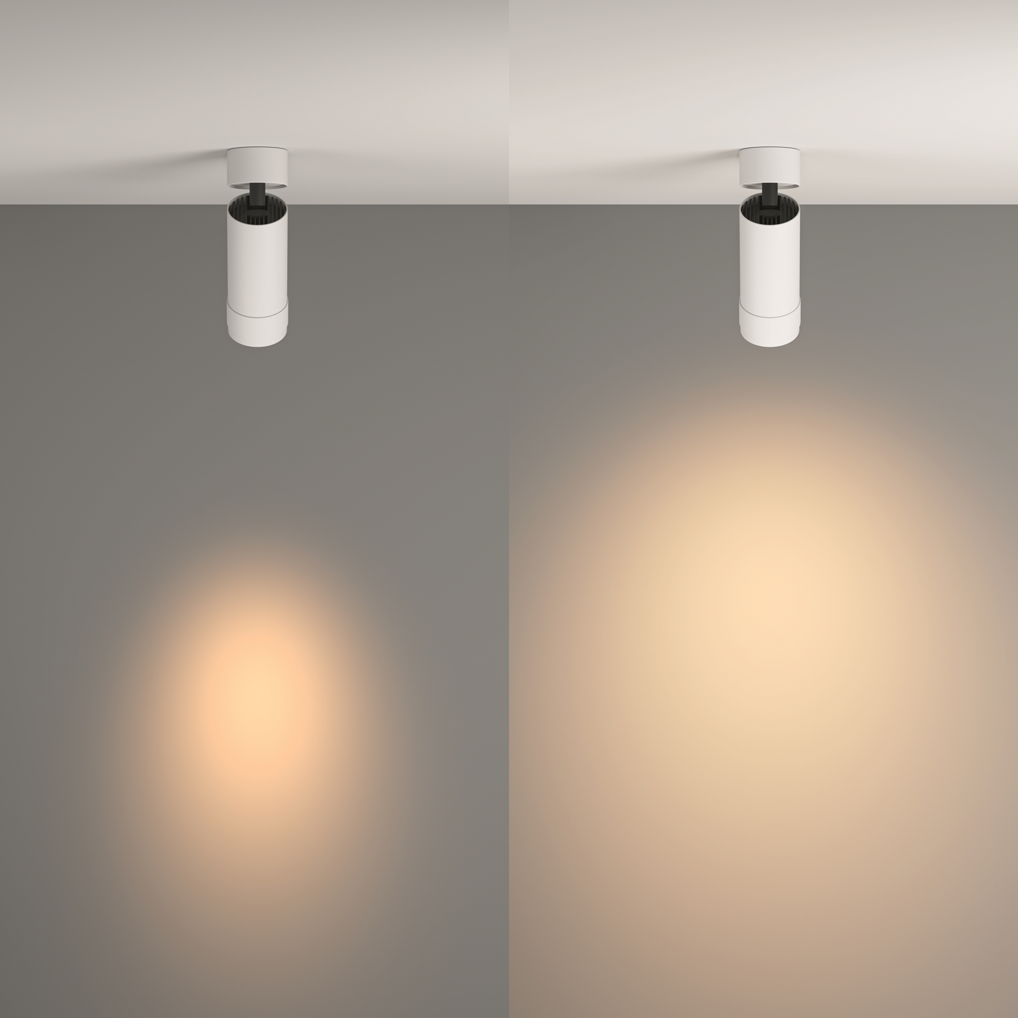 Дополнительная картинка Потолочный светильник Technical C055CL-L12W3K-Z-W