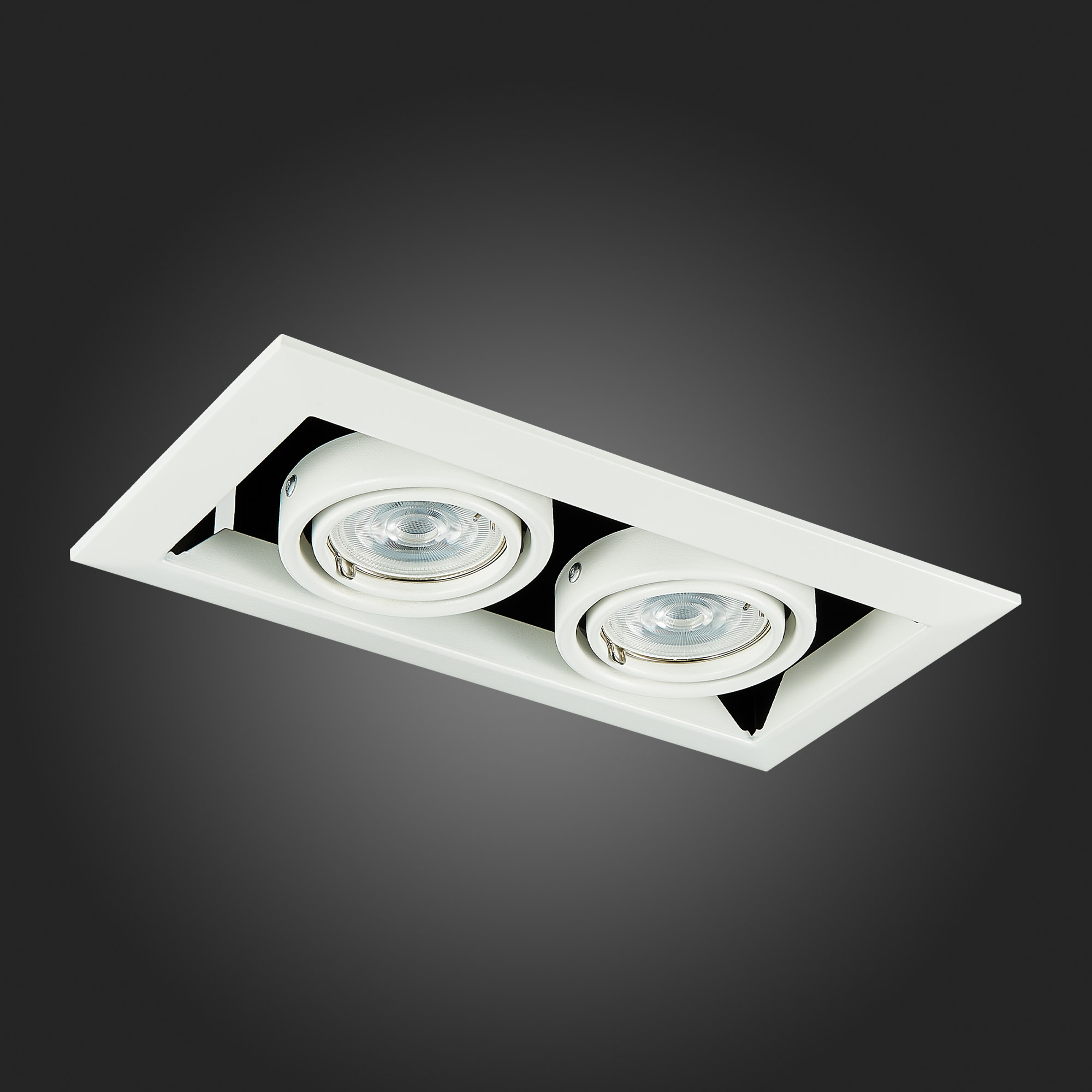 Дополнительная картинка Встраиваемый светильник ST Luce ST250.558.02