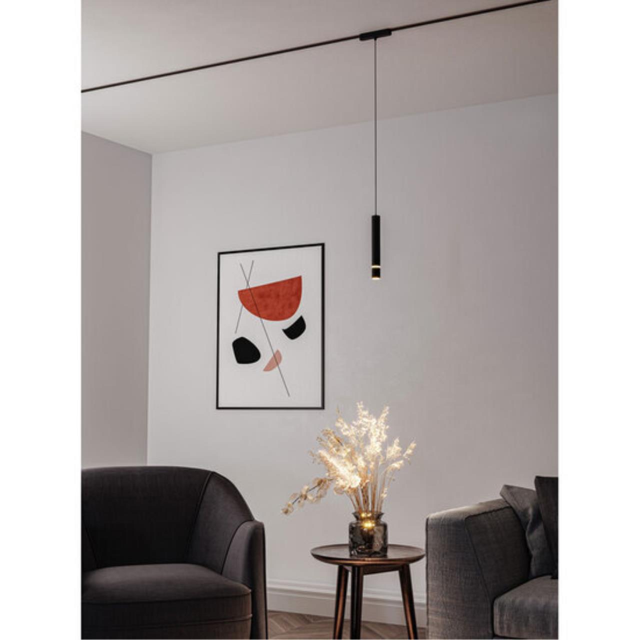 Дополнительная картинка Подвесной светильник Arte Lamp RAPID A6159PL-1BK