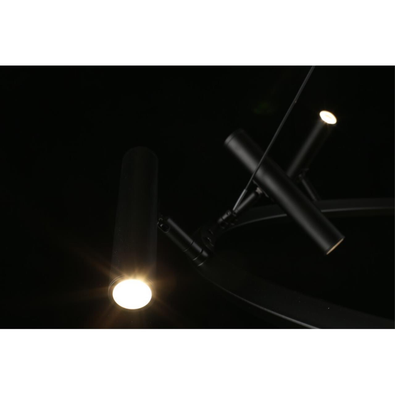 Картинка APL.067.03.50 Люстра подвесная Aployt Honor