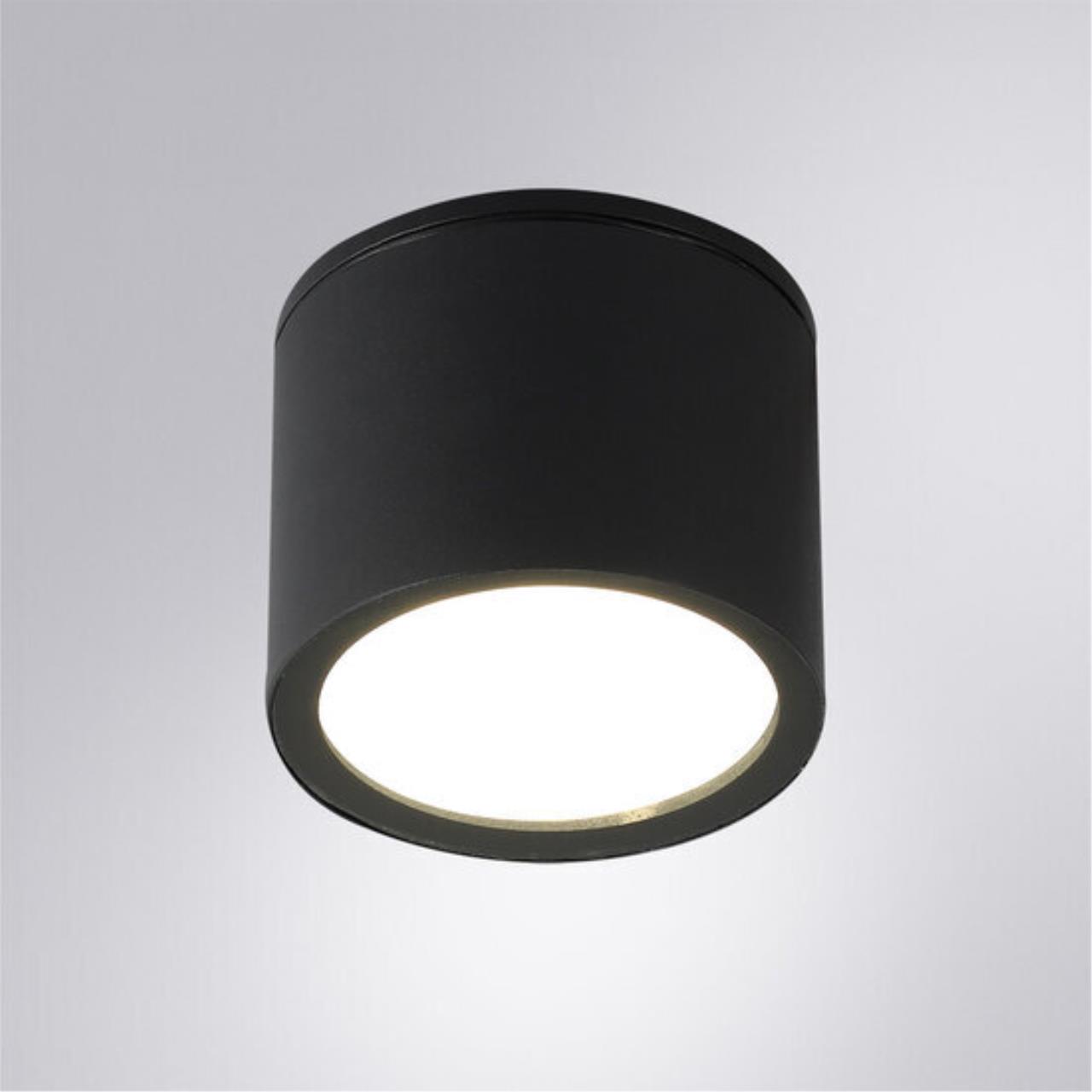 Картинка Уличный потолочный светильник Arte Lamp PIAUTOS A1913PF-1BK