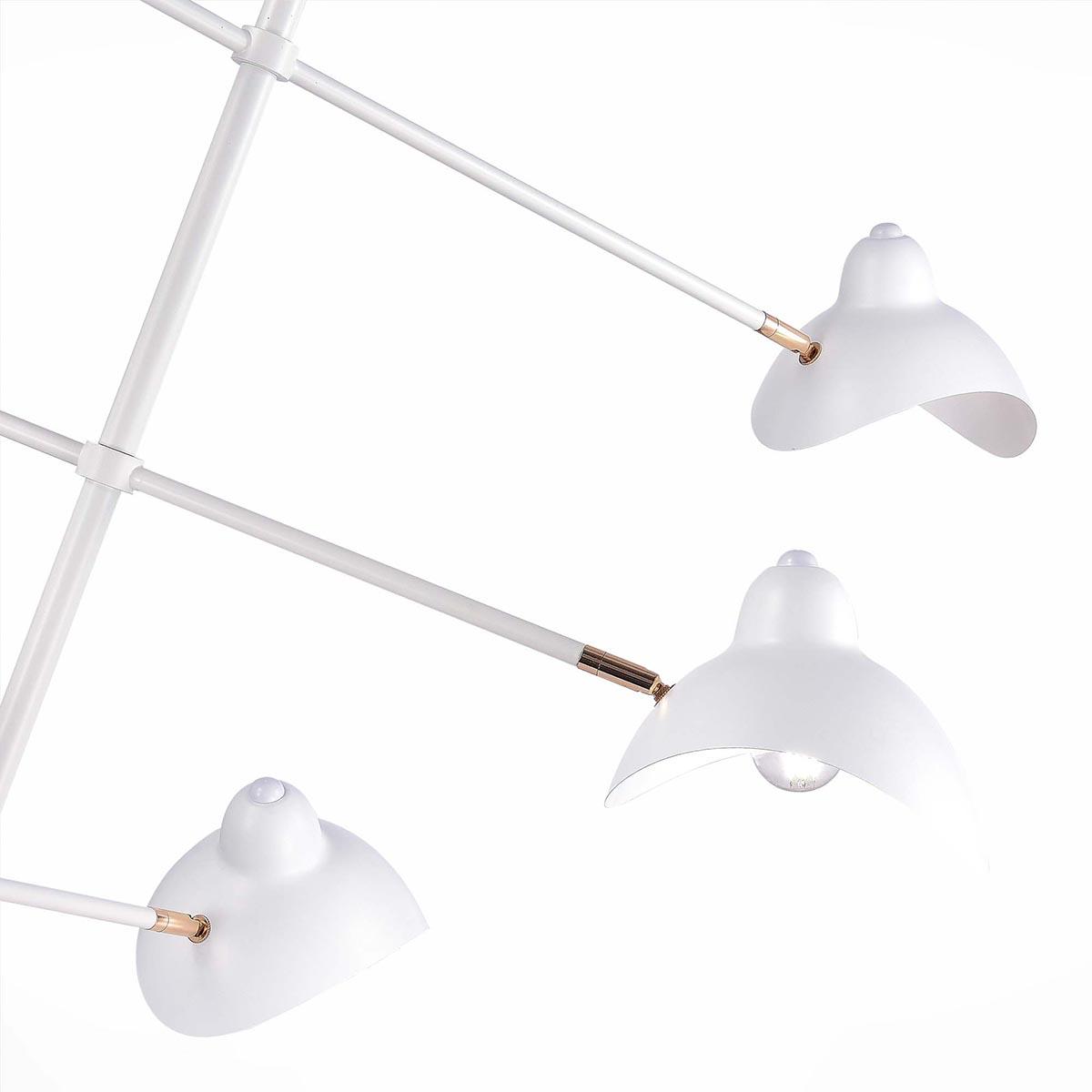 Картинка Подвесная люстра ST Luce Minne SL1801.503.06