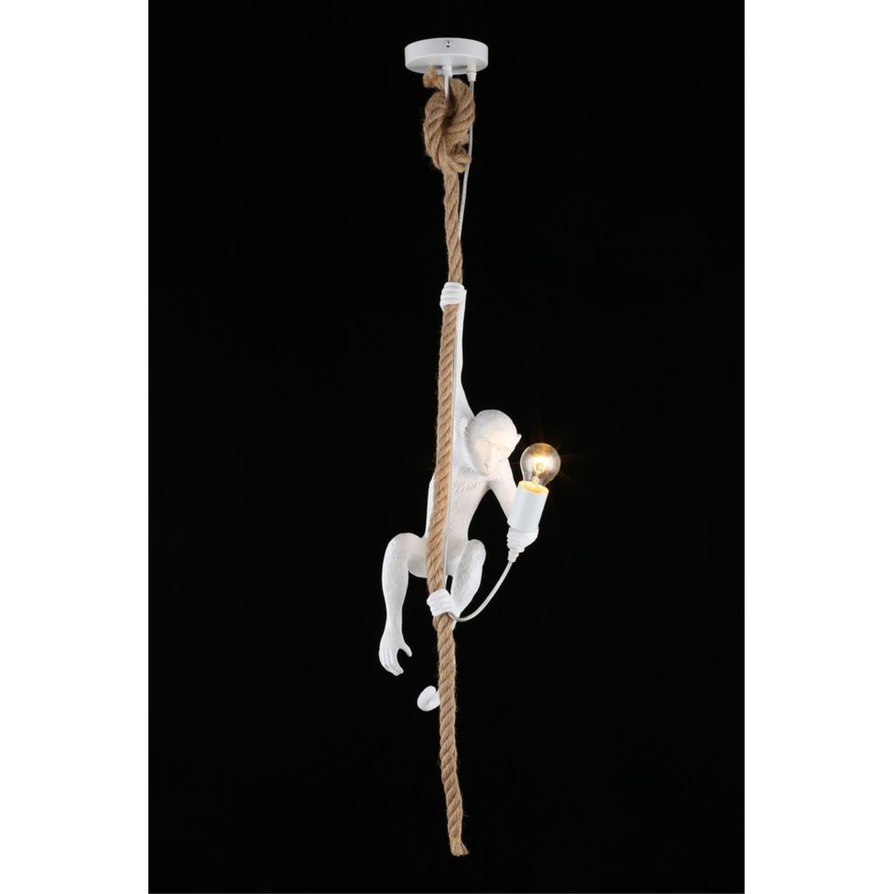 Картинка Подвесной светильник Aployt Magali APL.309.06.01