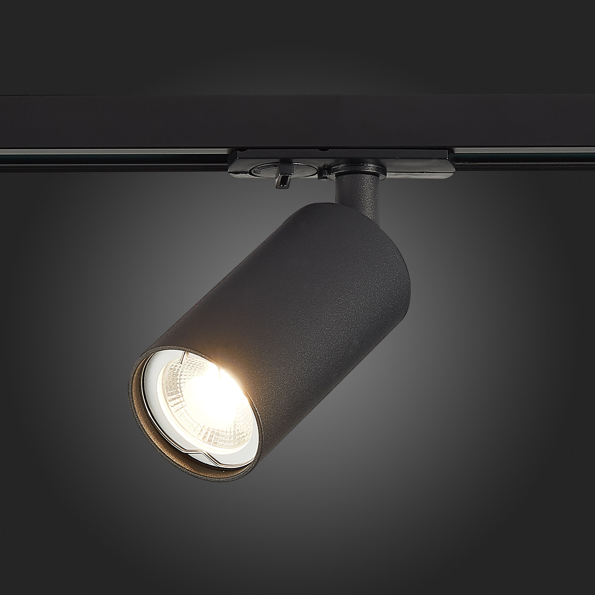 Картинка Трековый светильник ST Luce ST300.406.01