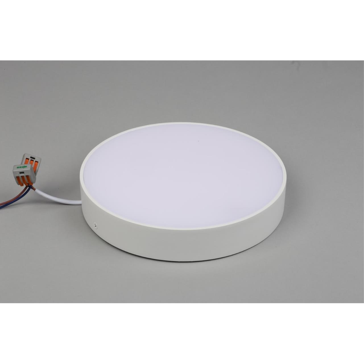 Картинка Потолочный светодиодный светильник Aployt Evon APL.0114.09.24