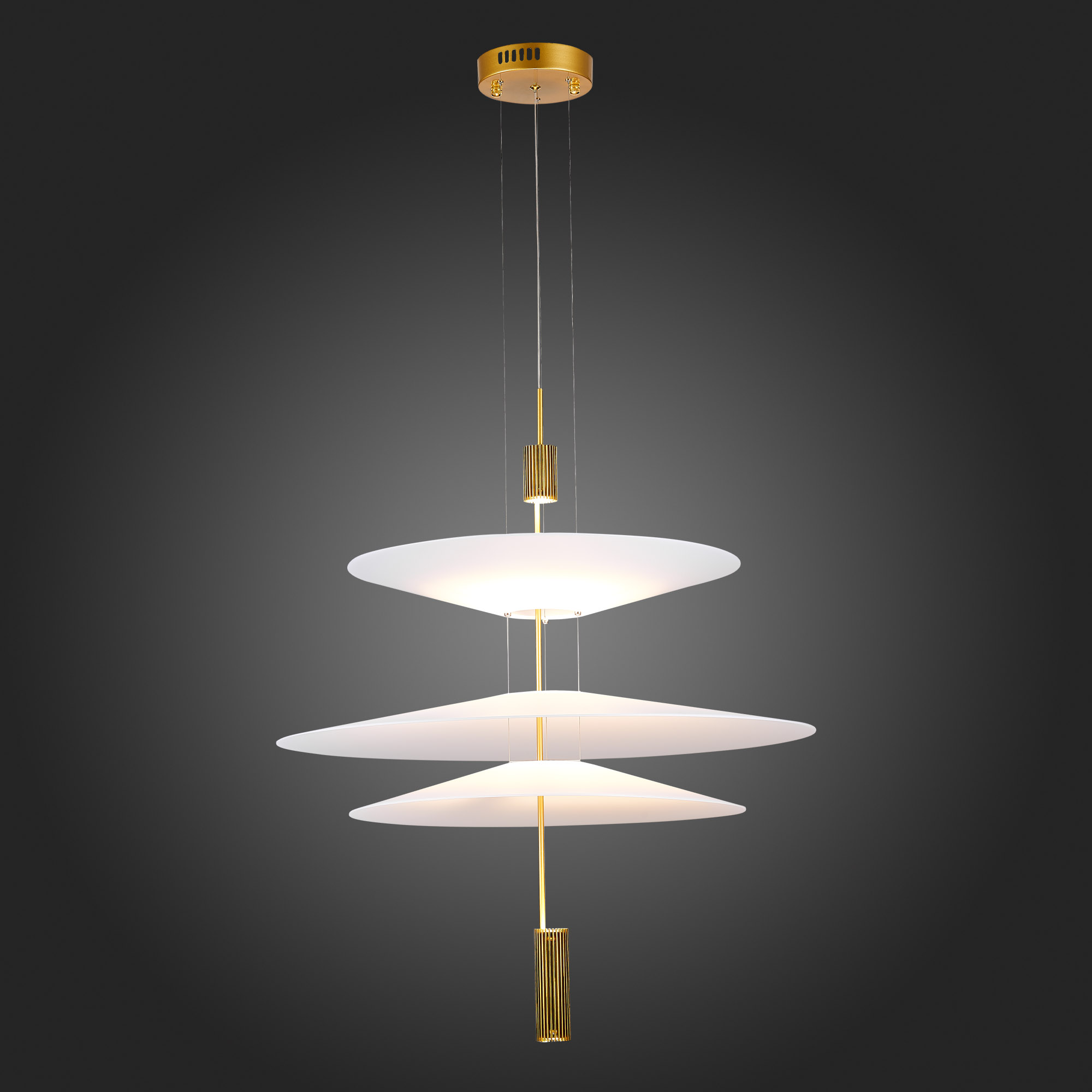 Картинка Подвесной светодиодный светильник ST Luce Isola SL6101.223.01