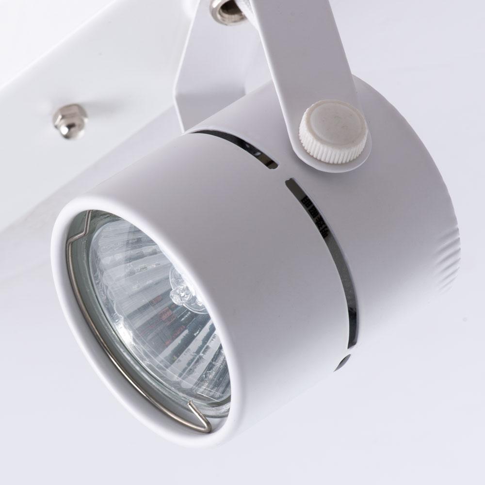 Дополнительная картинка Потолочный светильник Arte Lamp A1311PL-2WH