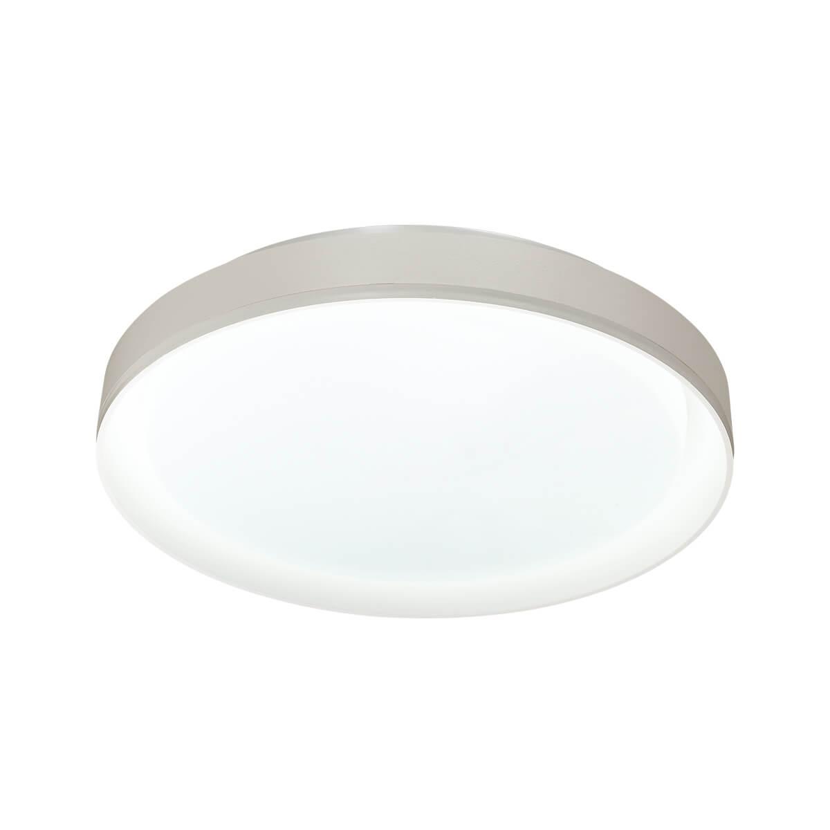 Картинка Настенно-потолочный светильник Sonex Tan Bionic 3030/DL