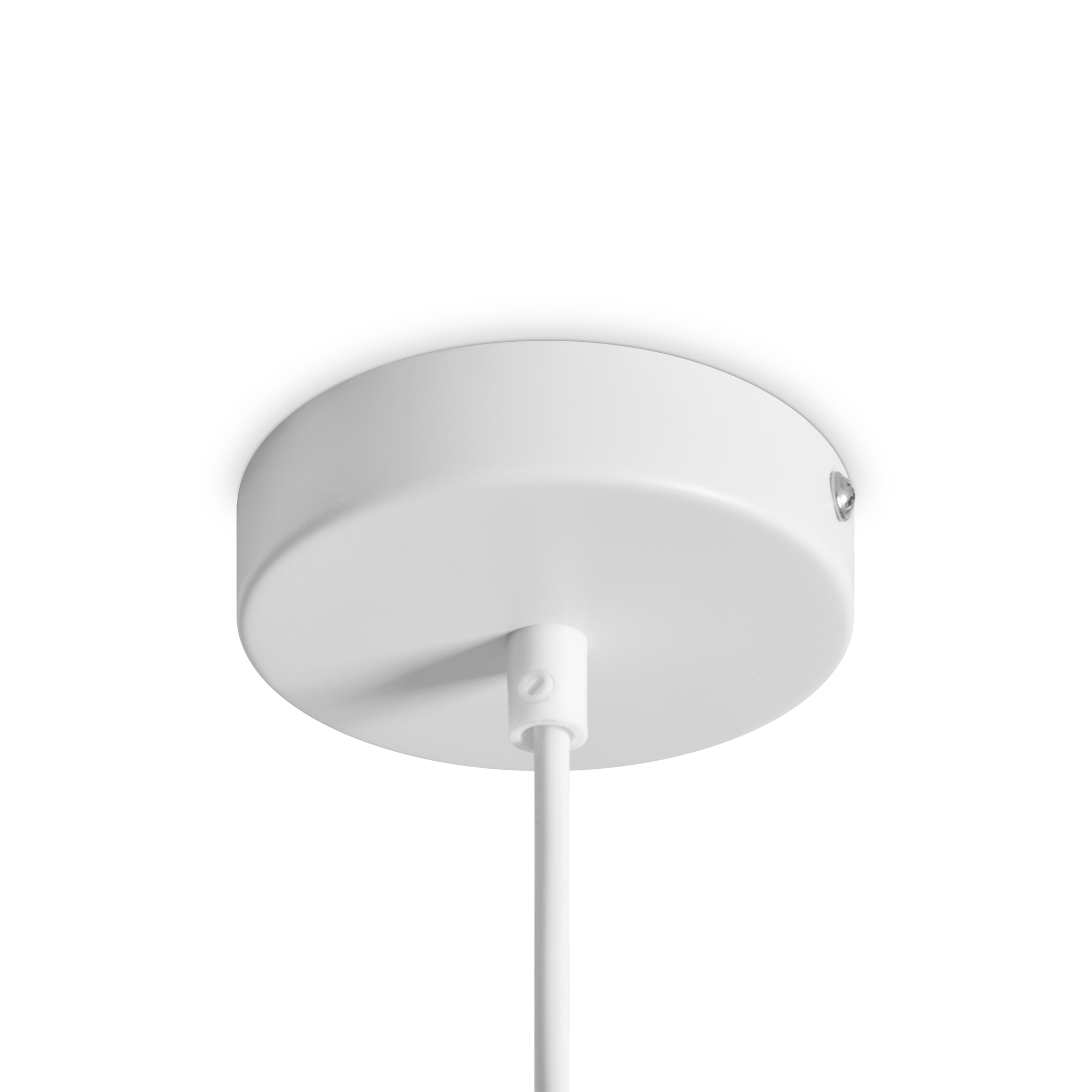 Дополнительная картинка Подвесной светильник Freya FR5530PL-L10W