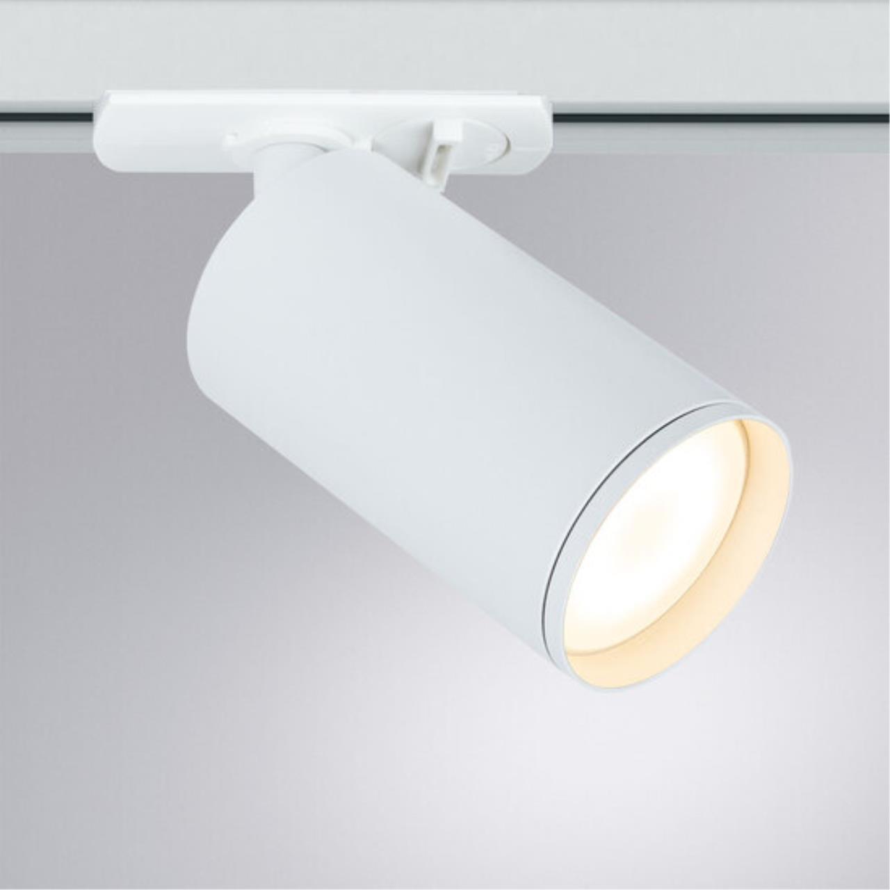 Дополнительная картинка Потолочный светильник Arte Lamp FLAME A1519PL-1WH