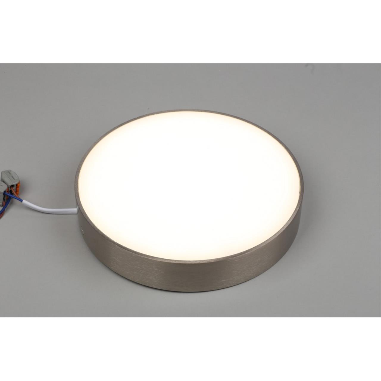 Картинка Потолочный светодиодный светильник Aployt Evon APL.0114.19.24