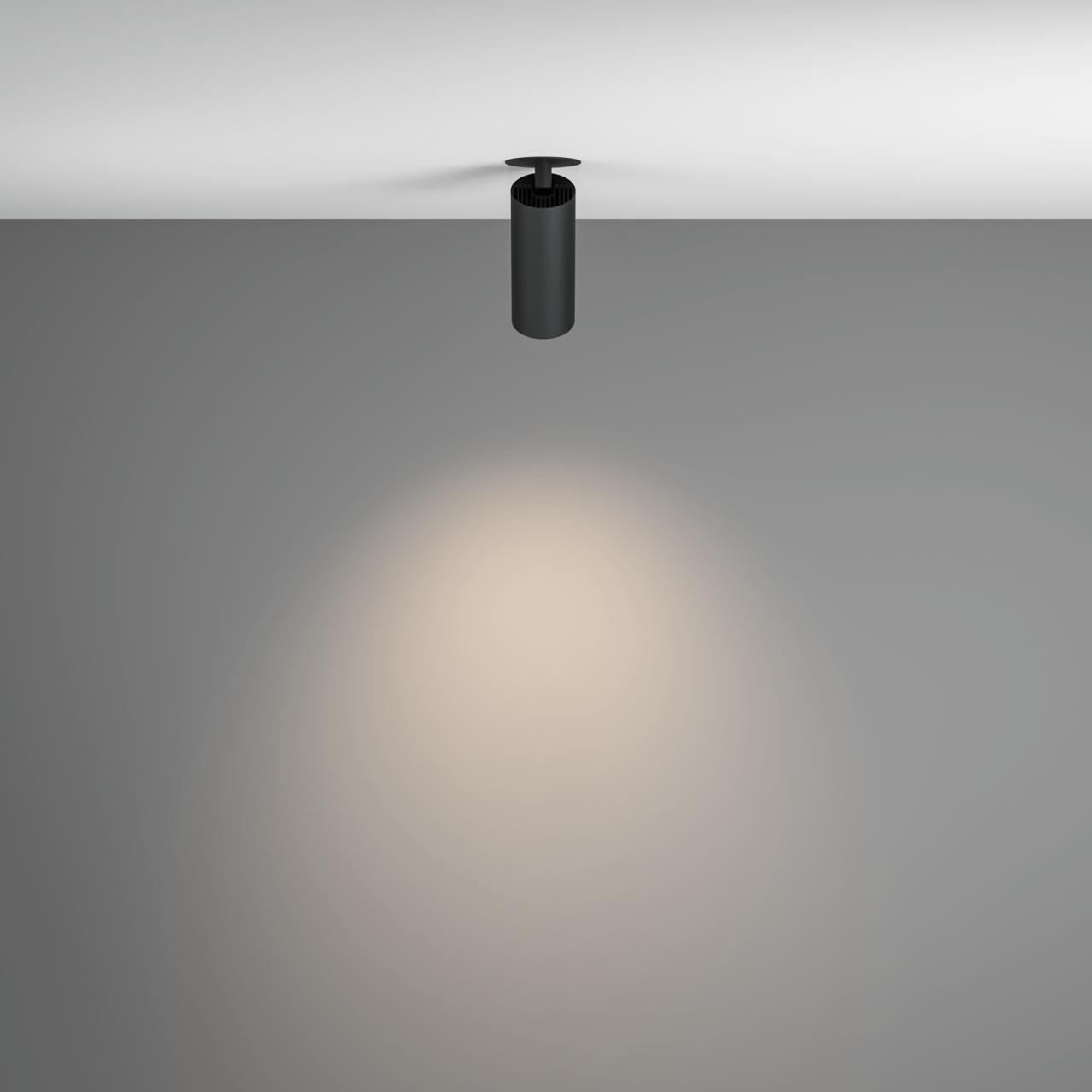 Дополнительная картинка Потолочный светильник Technical C053CL-L12W4K-W-B