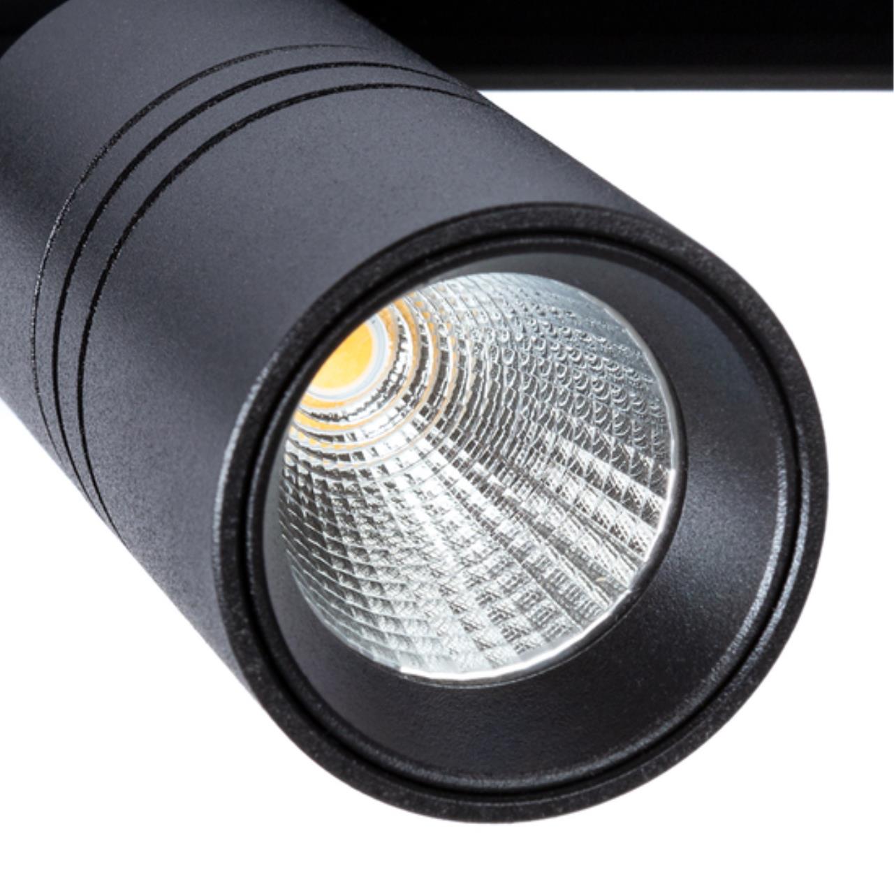 Дополнительная картинка Потолочный светильник Arte Lamp EXPERT A5720PL-1BK