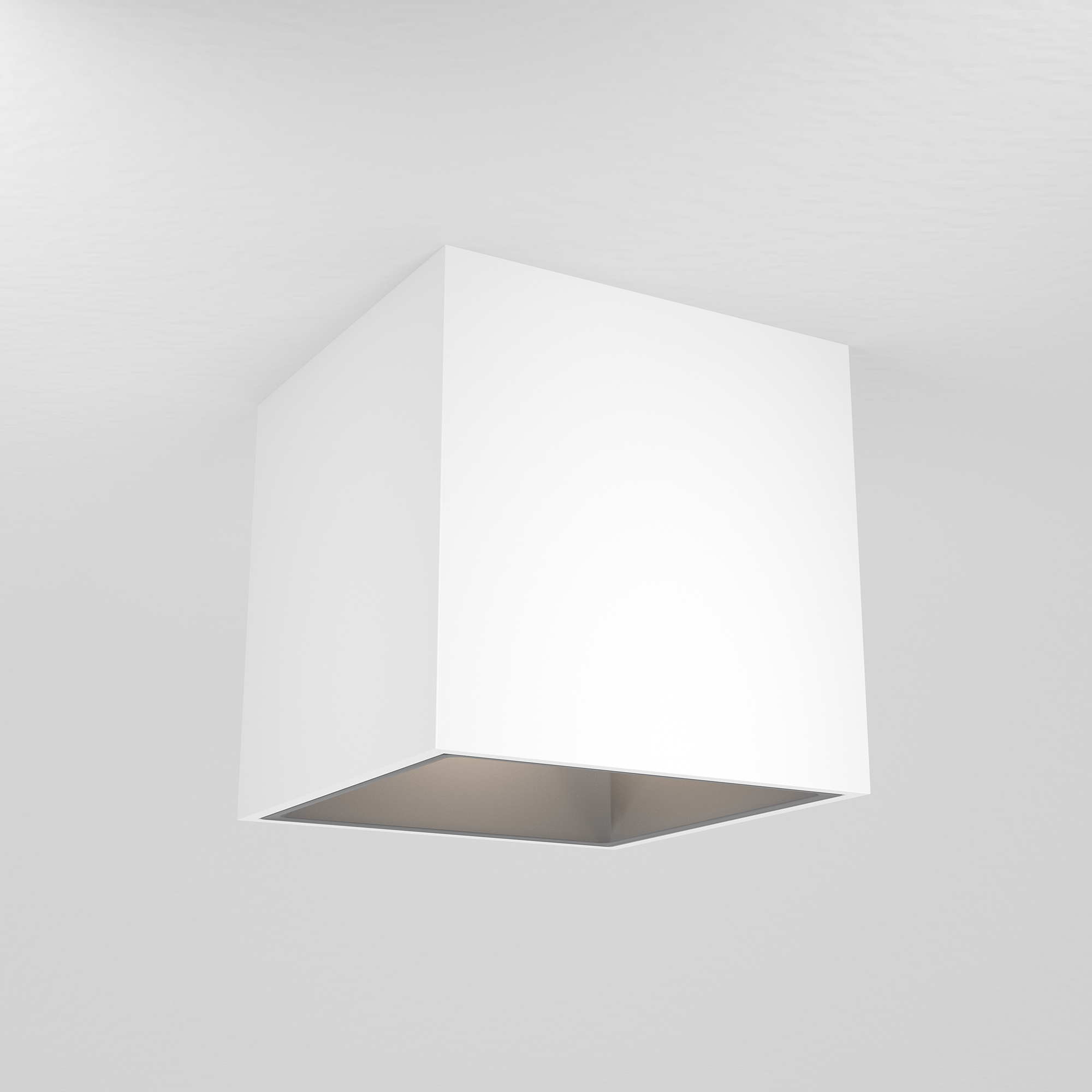 Дополнительная картинка Потолочный светильник Technical C065CL-L12W4K