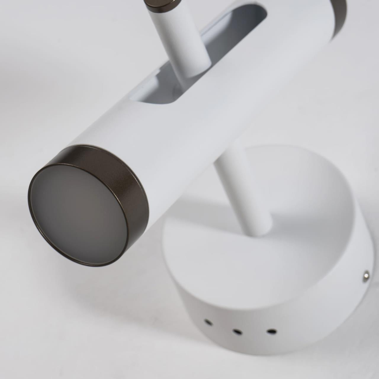 Картинка Светодиодный спот Favourite Duplex 2325-2W