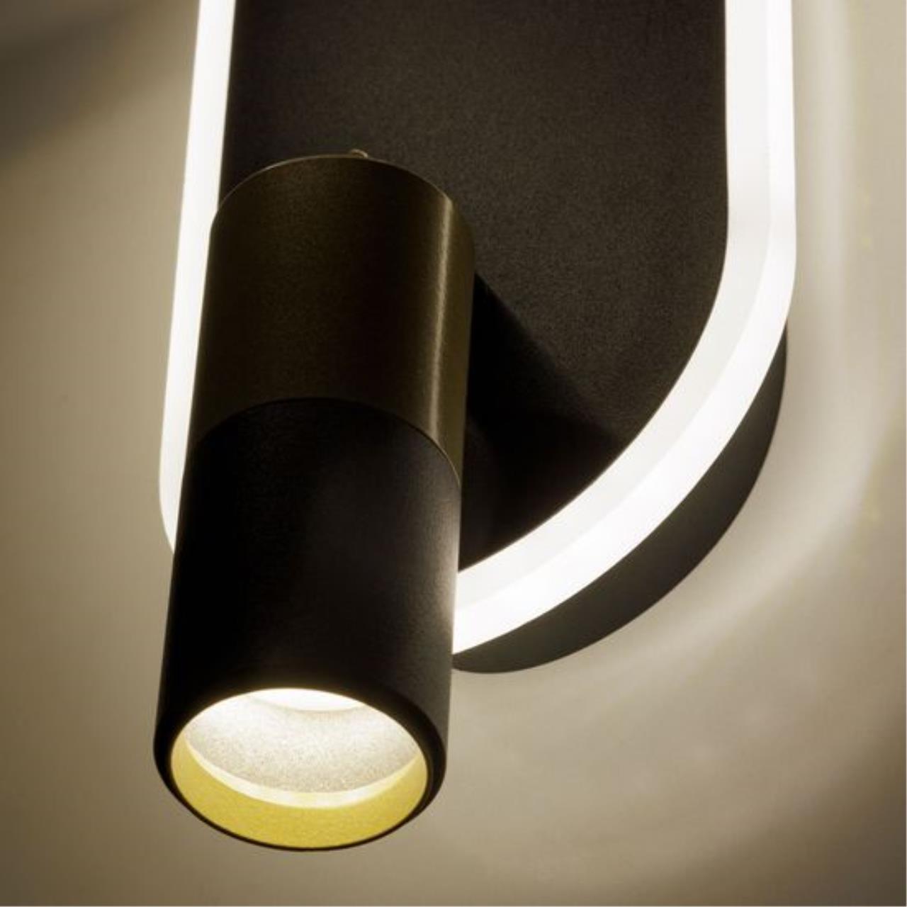 Дополнительная картинка Настенный светильник Arte Lamp TOLIMAN A2613AP-2BK