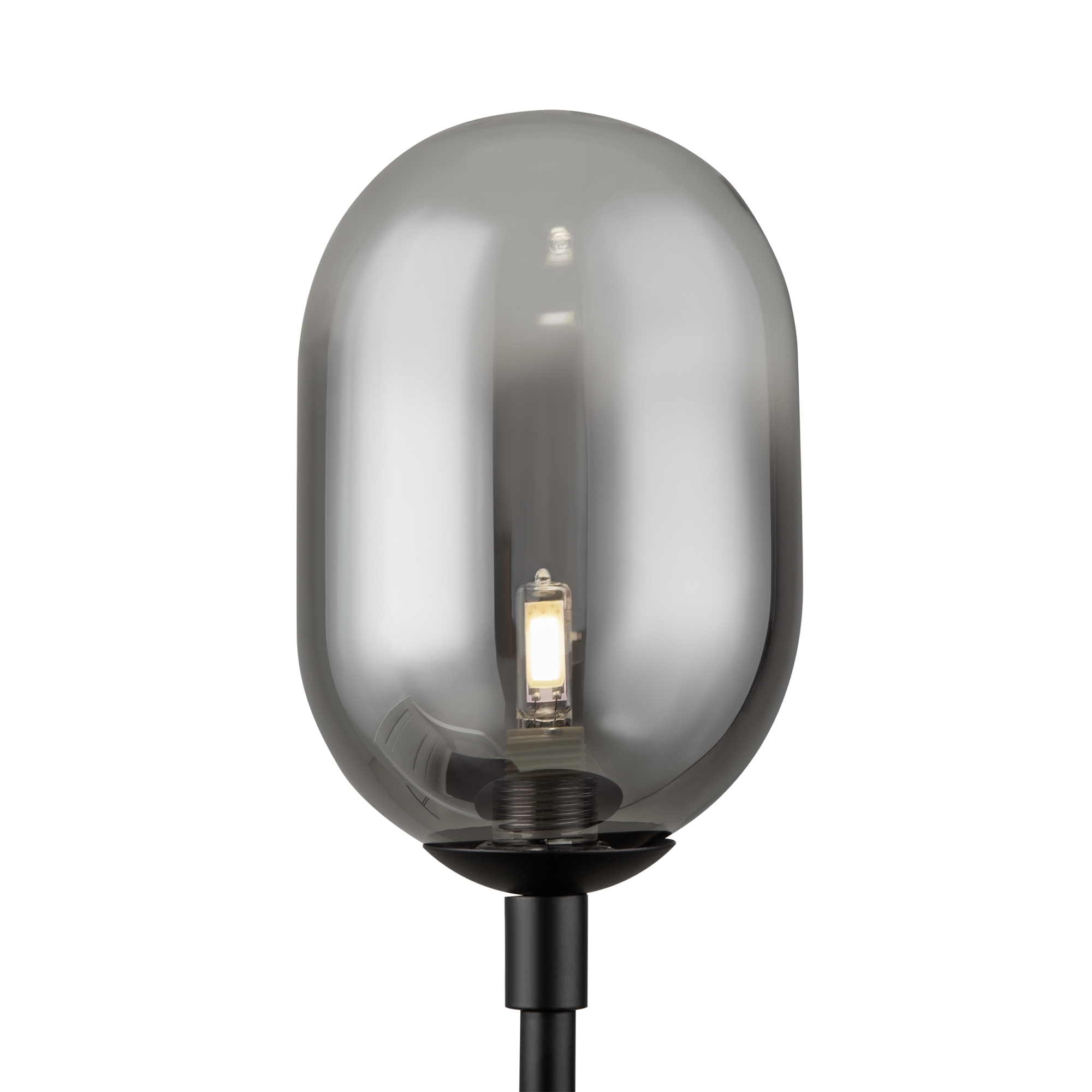 Дополнительная картинка Настольный светильник Freya FR1011TL-01B