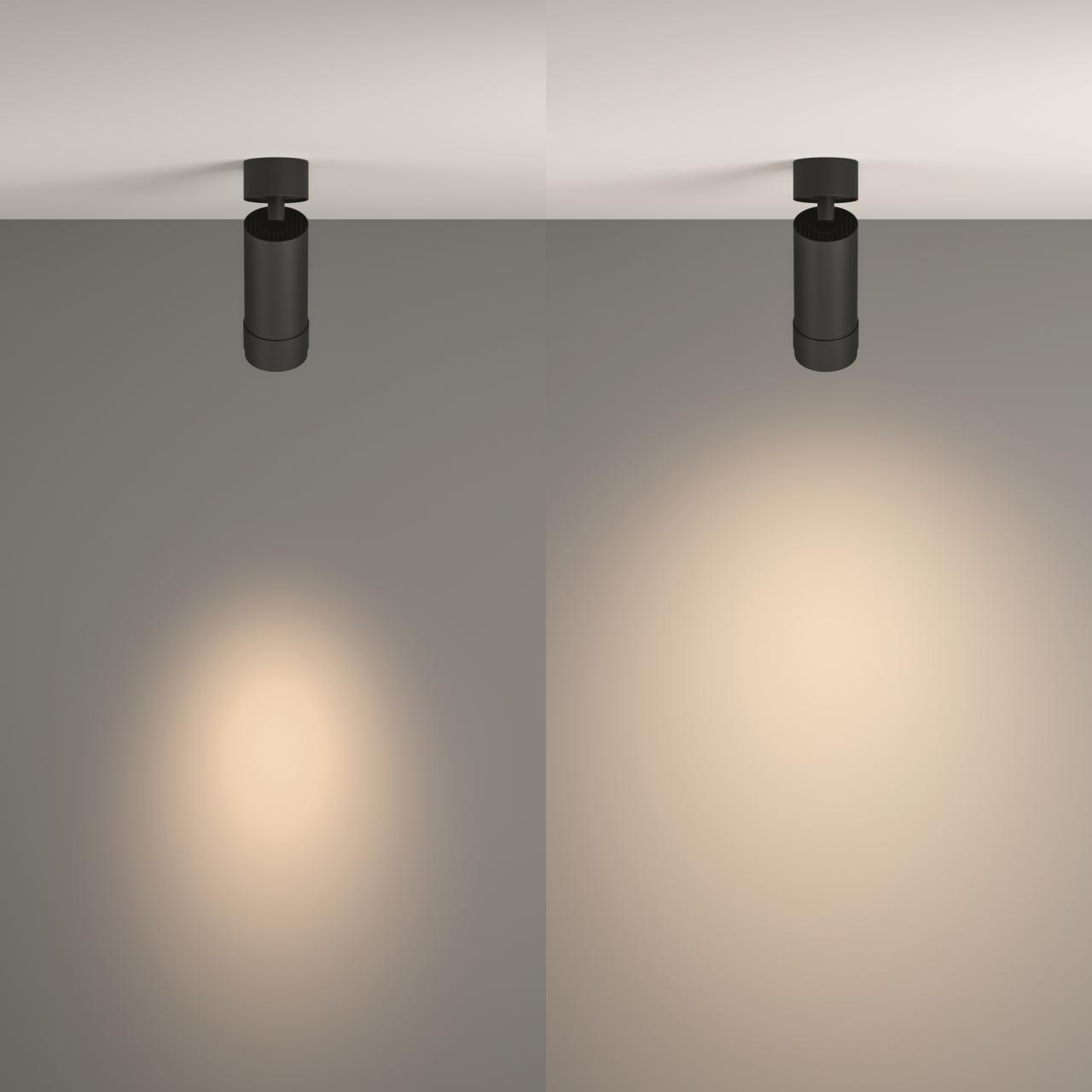 Дополнительная картинка Потолочный светильник Technical C055CL-L12W4K-Z-B