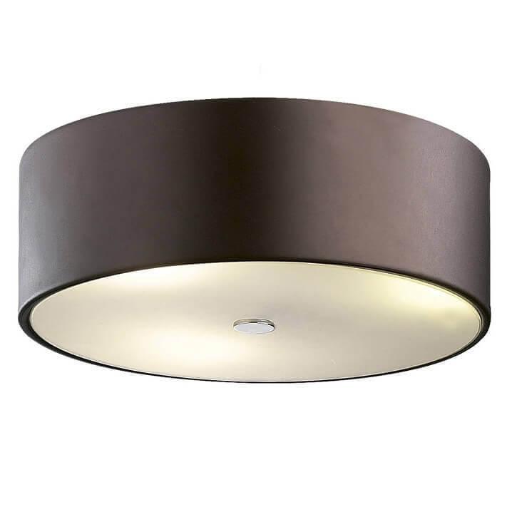 Картинка Потолочный светильник Odeon Light Salar 2047/3C