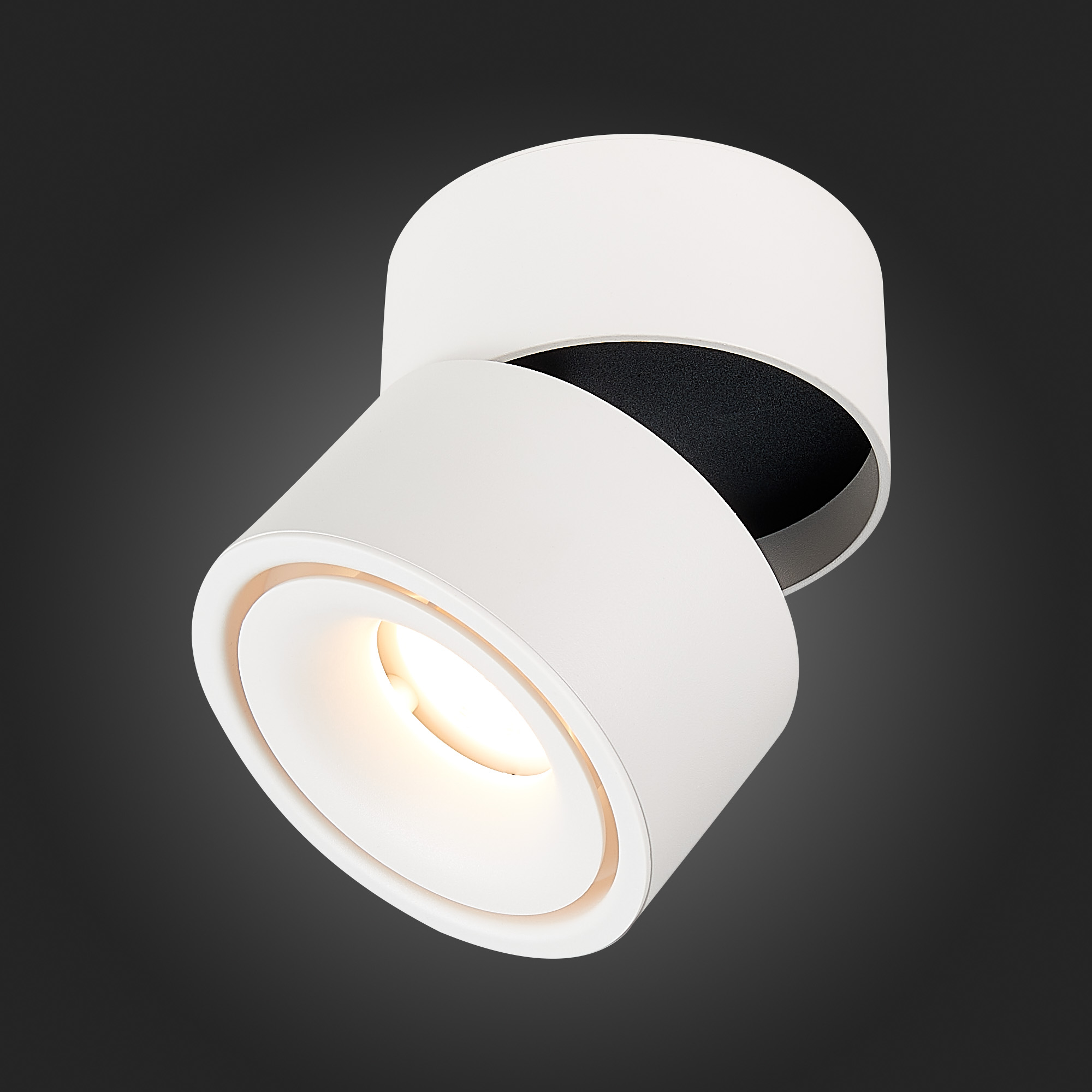 Картинка Светодиодный спот ST Luce ST652.532.12