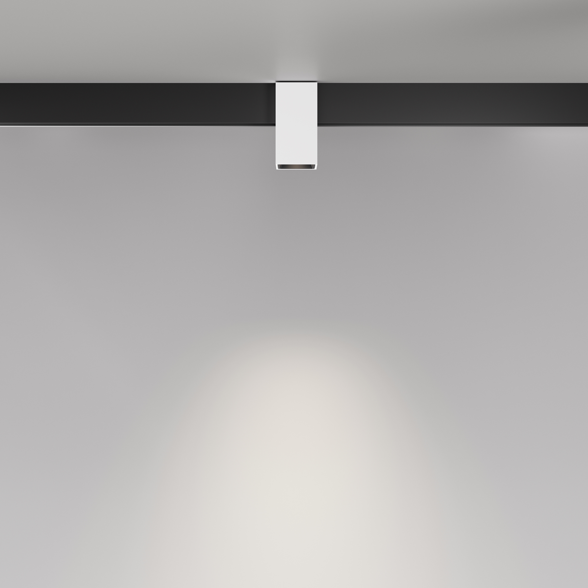 Дополнительная картинка Трековый светильник Technical TR121-2-7W4K-W