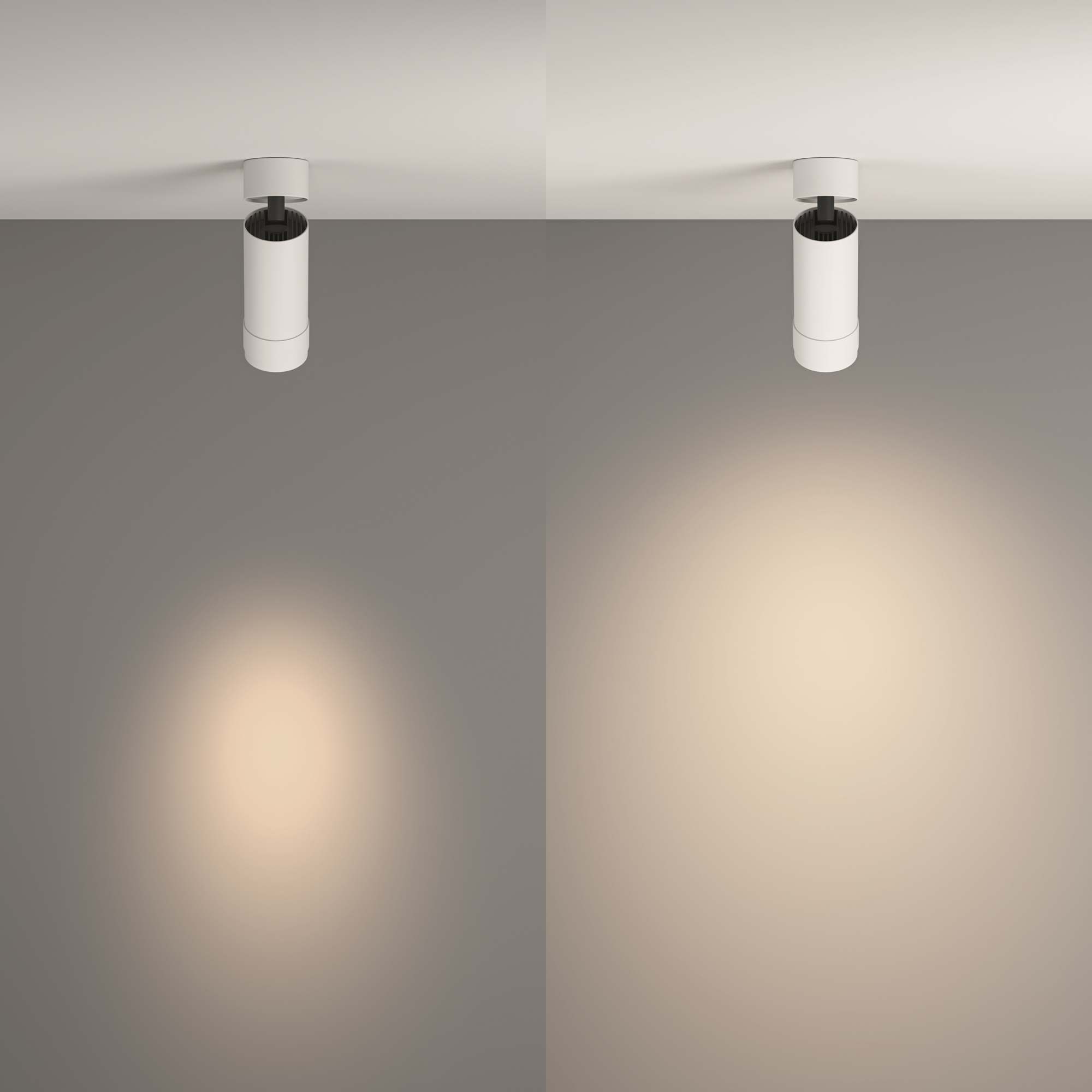 Картинка Потолочный светильник Technical C055CL-L12W4K-Z-W